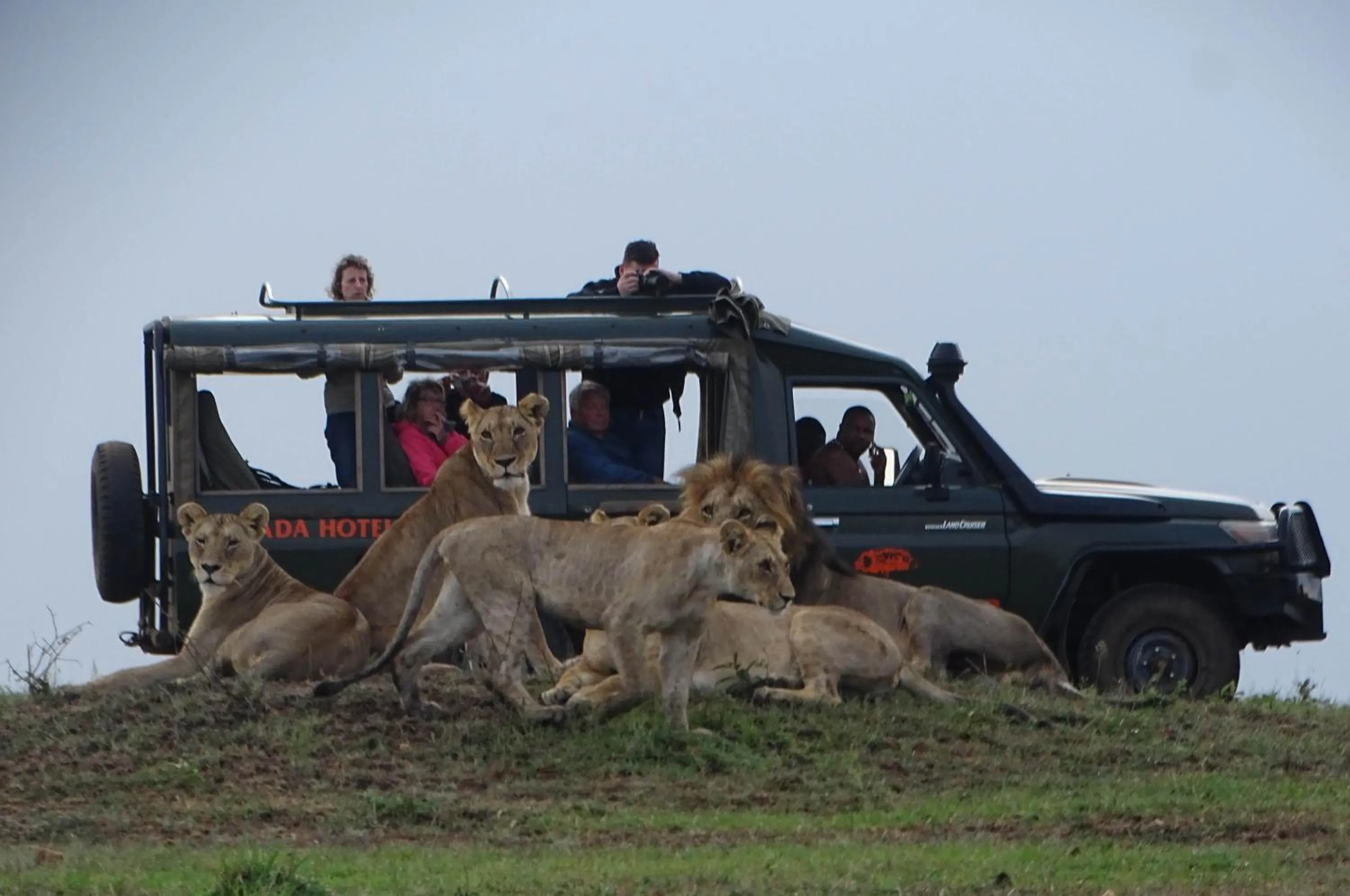 Activities in Fig Tree Camp - Maasai Mara