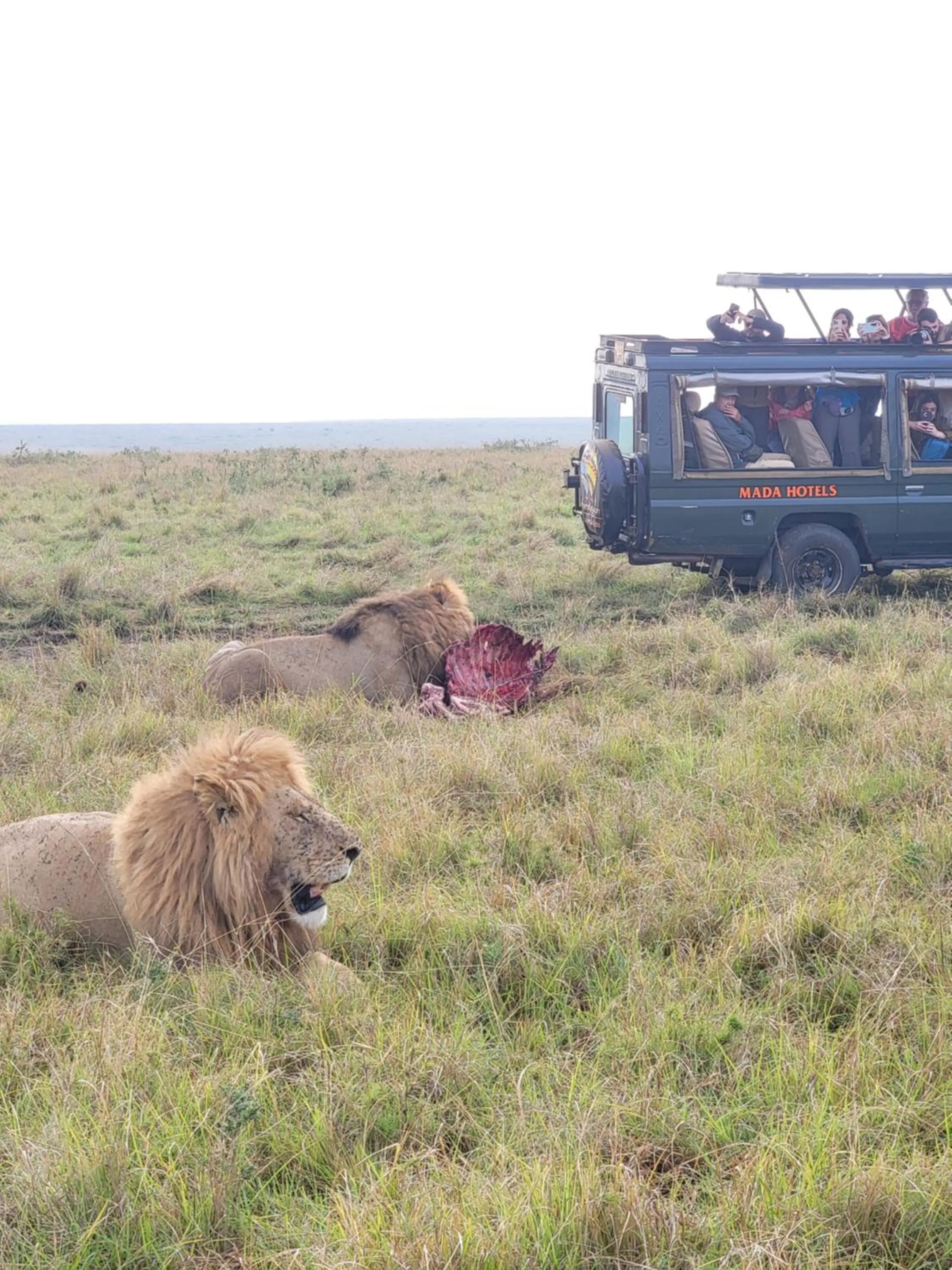 Fig Tree Camp - Maasai Mara