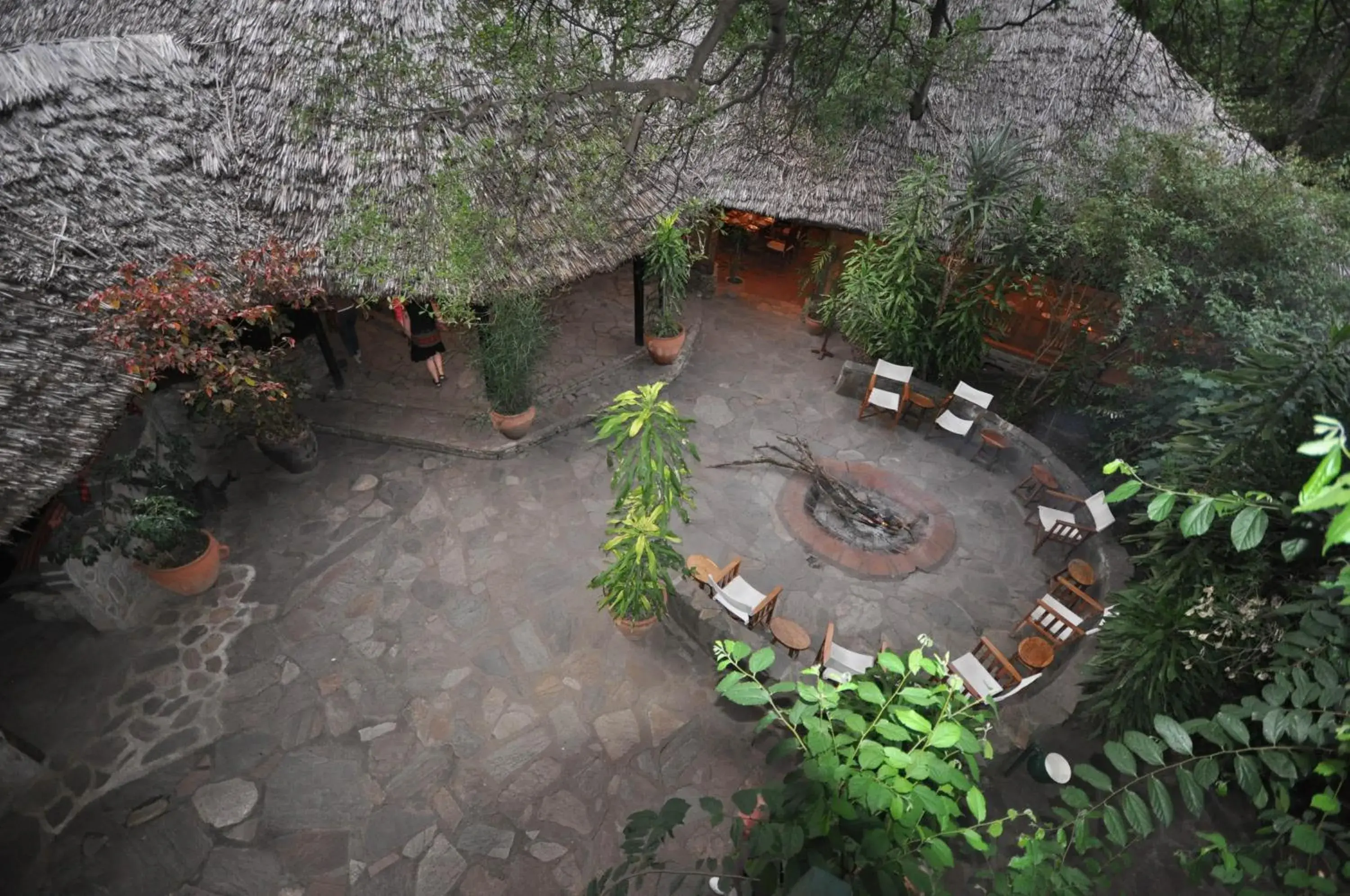 Restaurant/places to eat in Fig Tree Camp - Maasai Mara Restaurant/places to eat in Fig Tree Camp - Maasai Mara