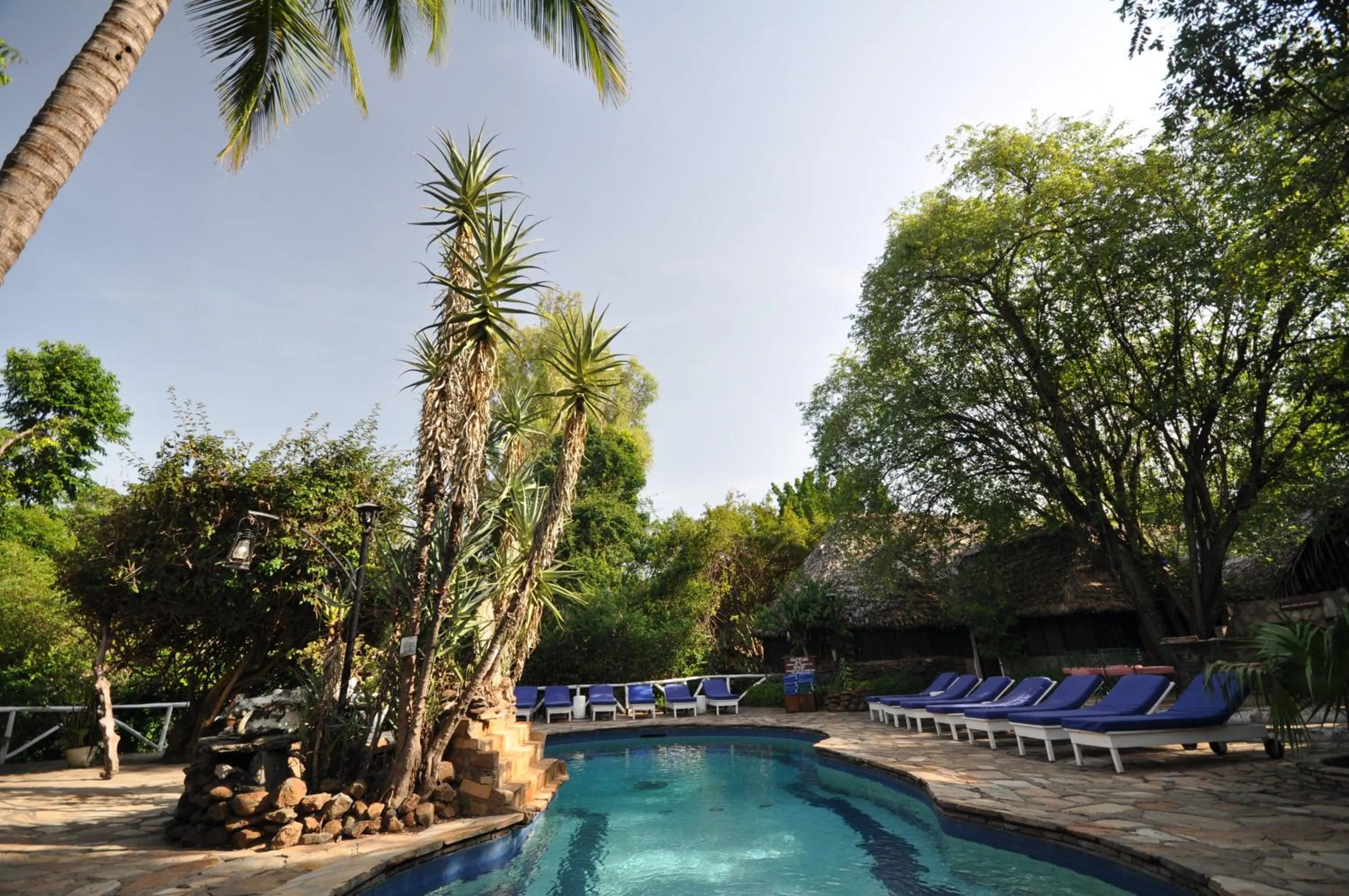 Day in Fig Tree Camp - Maasai Mara