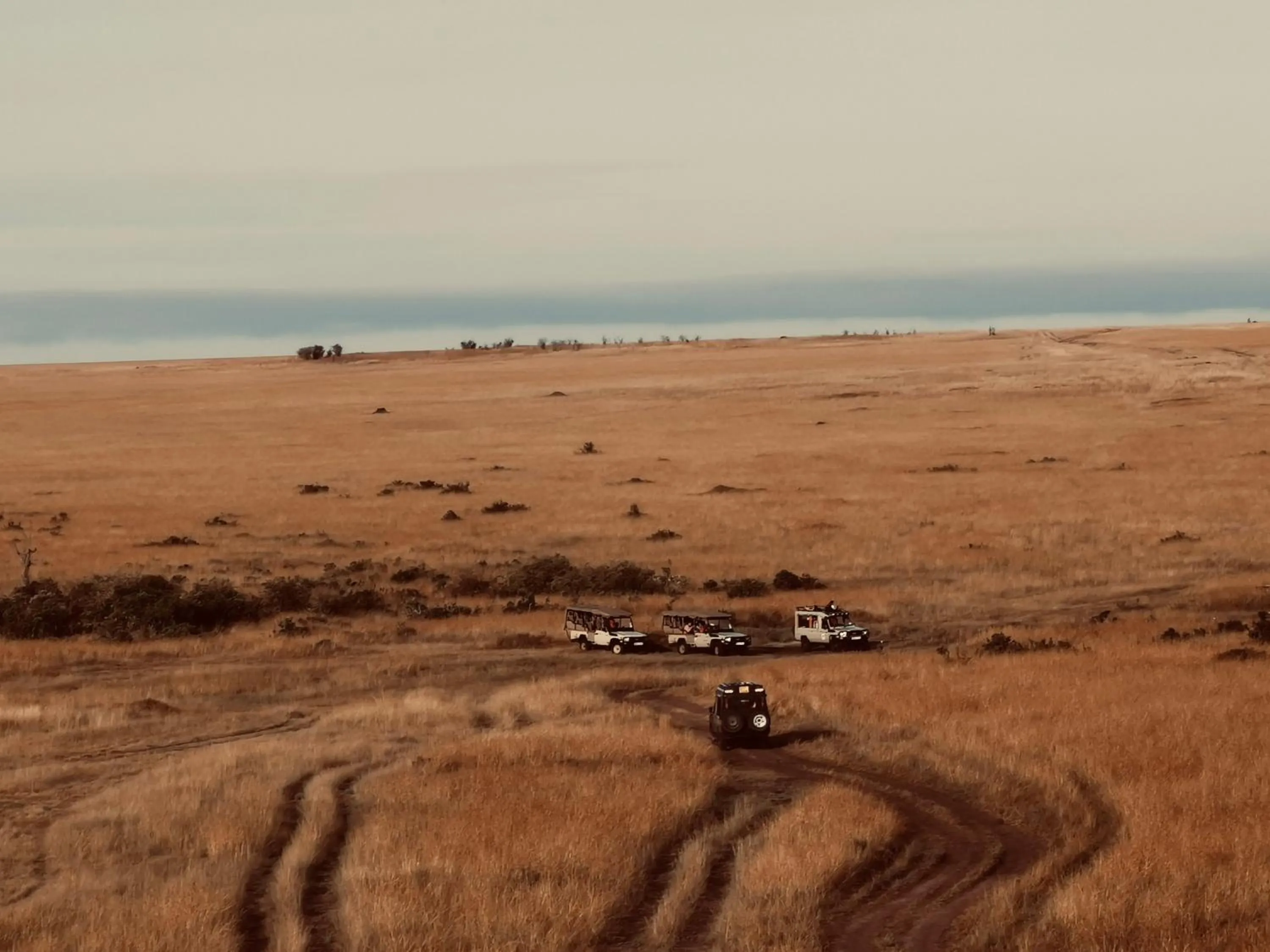 Activities in Fig Tree Camp - Maasai Mara