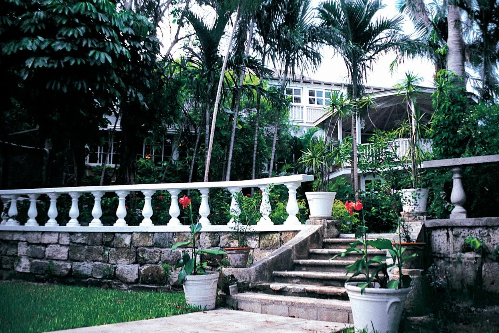 Natural landscape in Graycliff Hotel