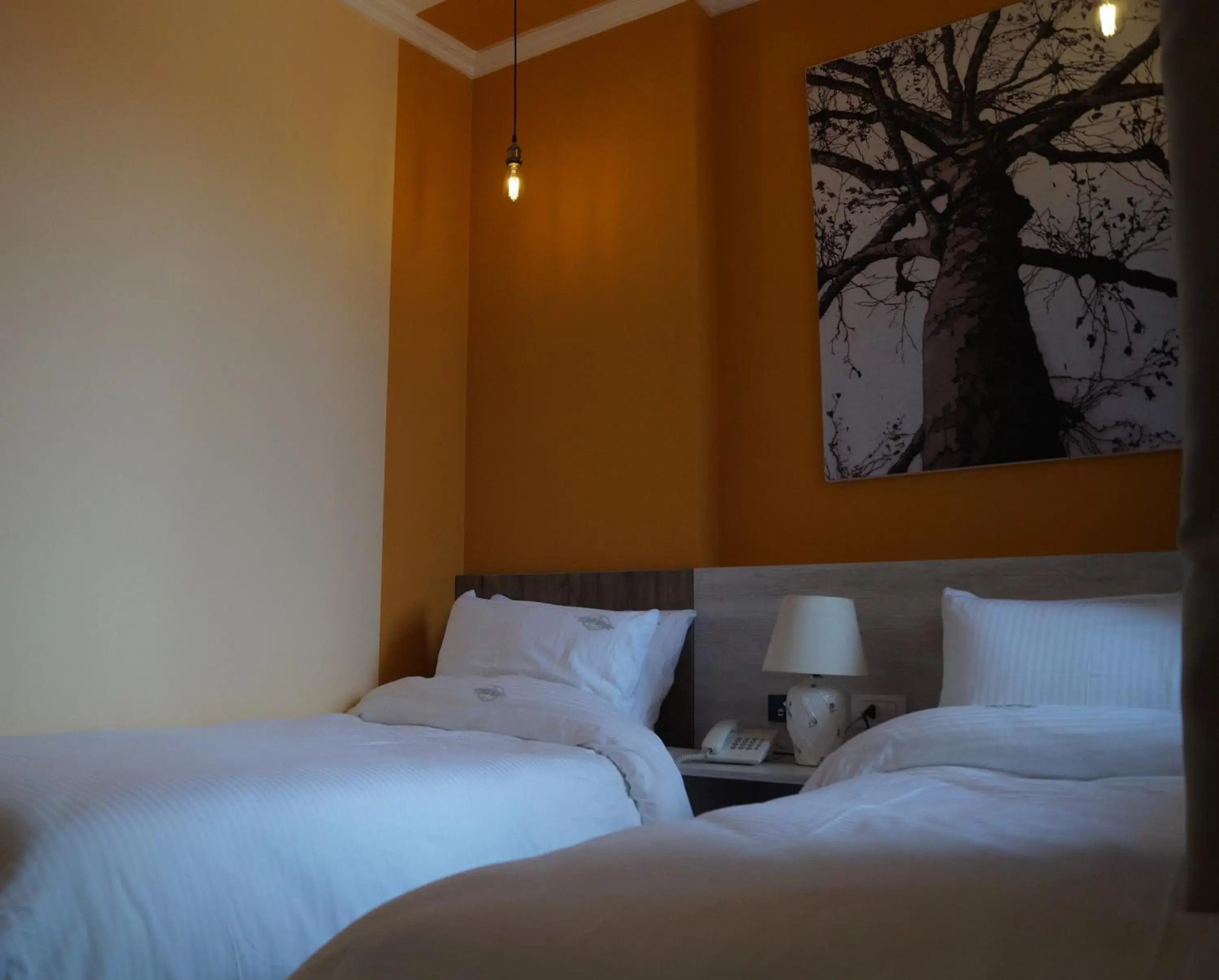 Twin Room in Vila Trebicka Twin Room in Vila Trebicka