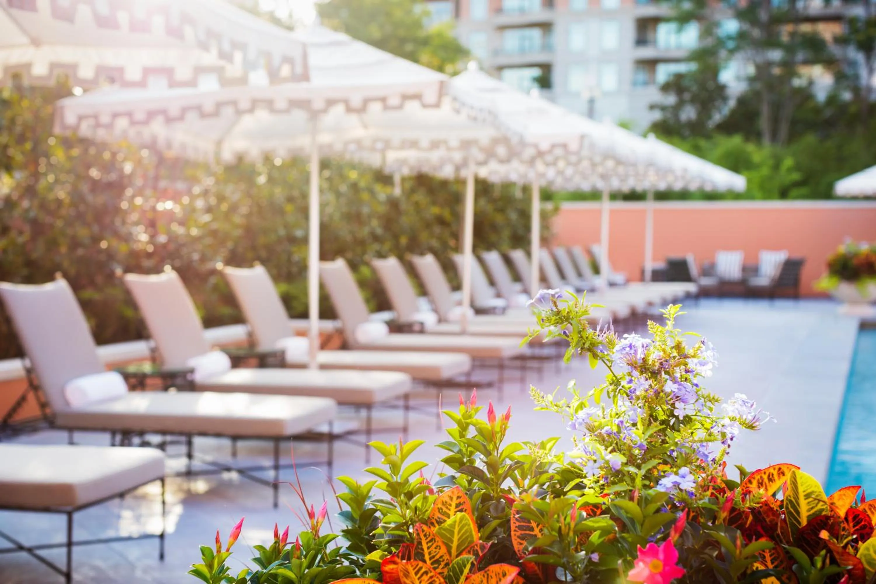 Pool view in Rosewood Mansion on Turtle Creek