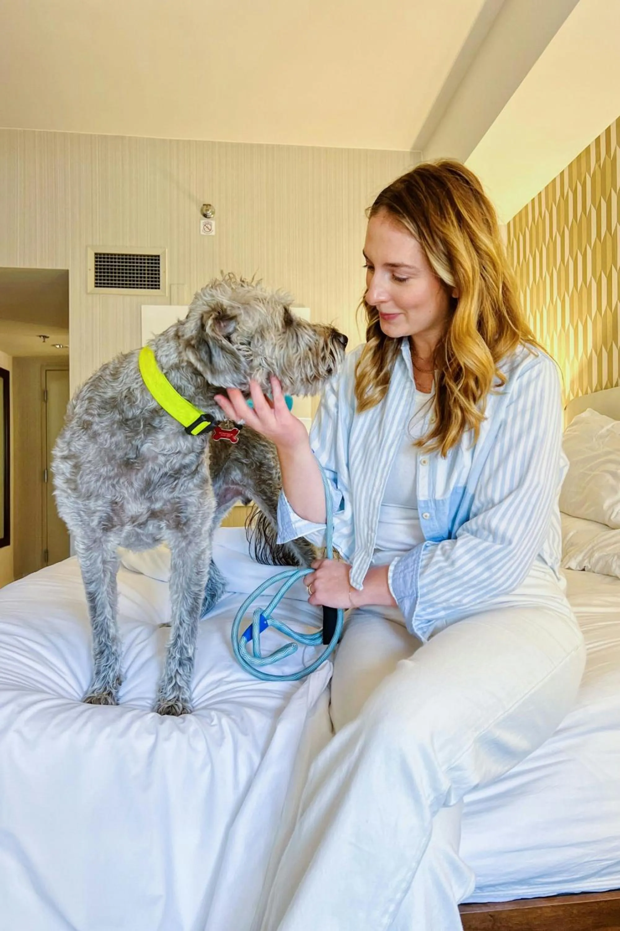 Other, Bed in Renaissance Phoenix Downtown Hotel