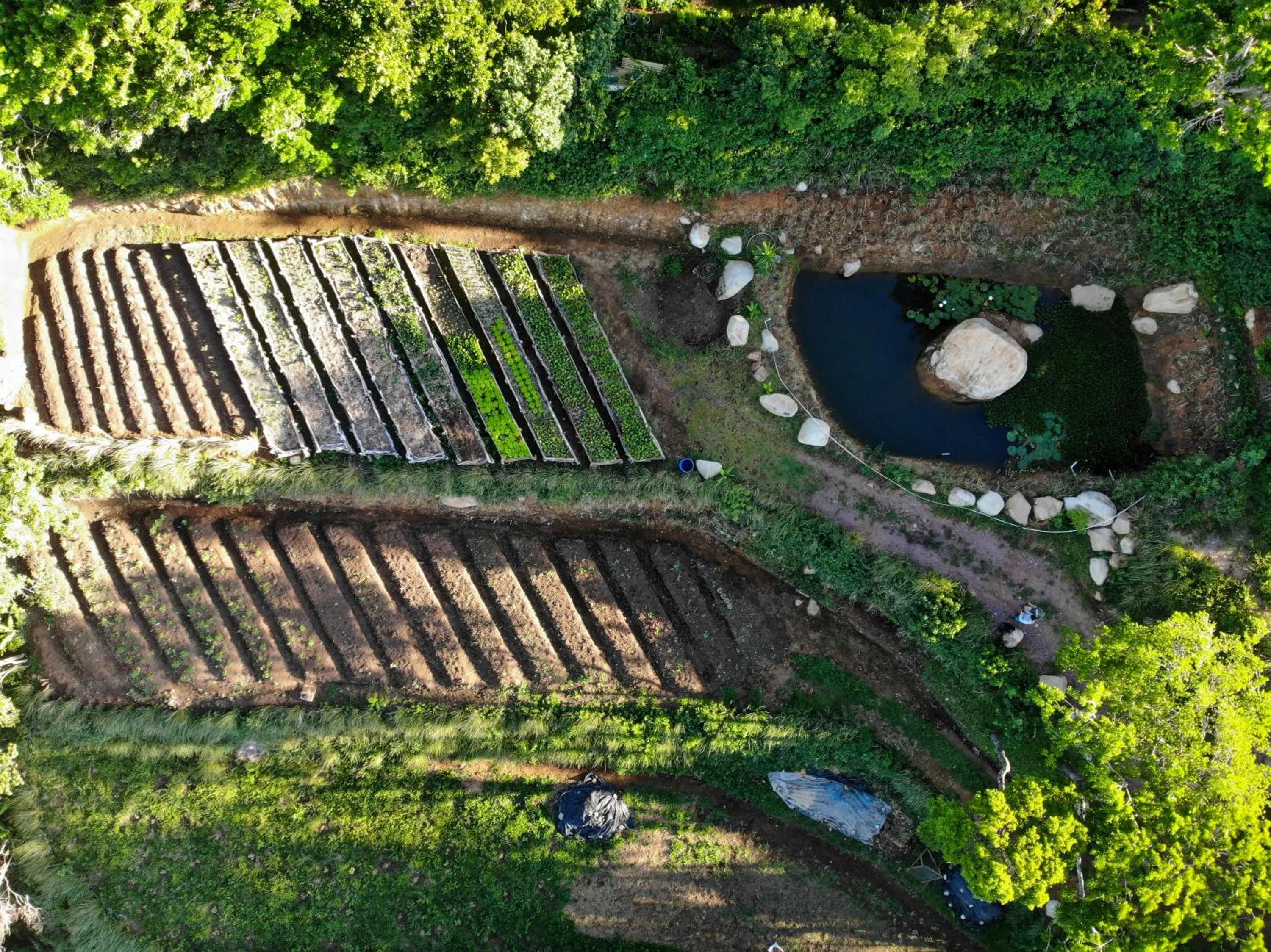 Bird's eye view in Valle Escondido Nature Reserve Hotel & Farm