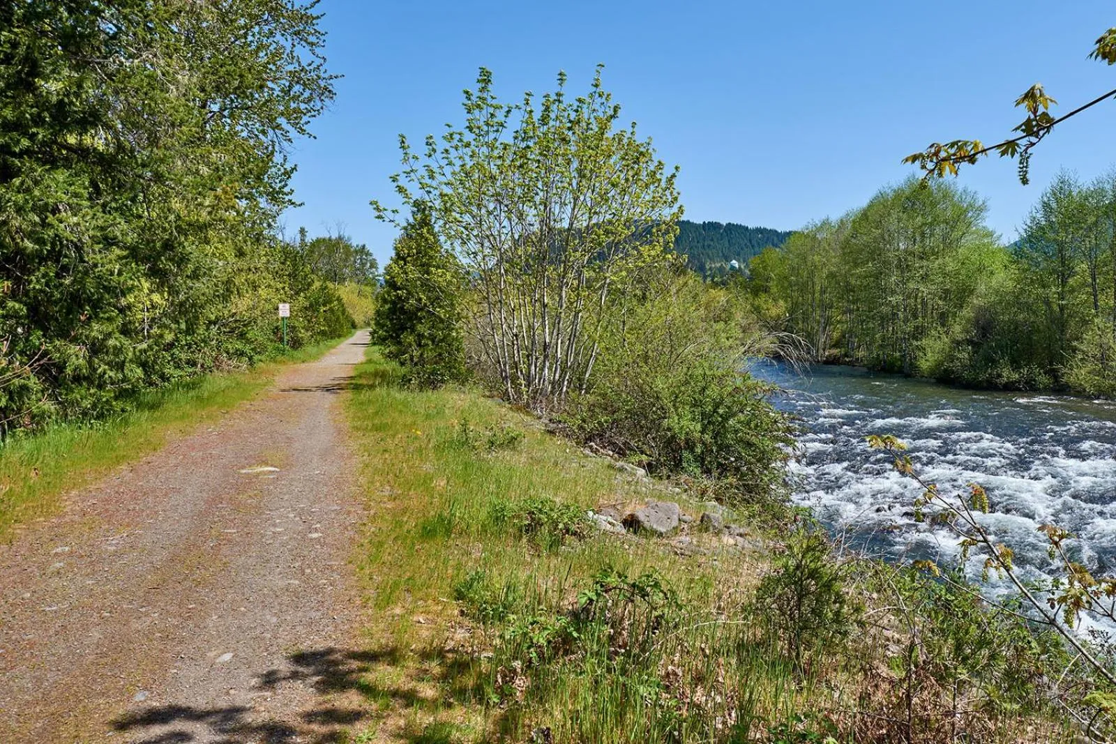 Natural landscape in Arbor Inn Motel Oakridge