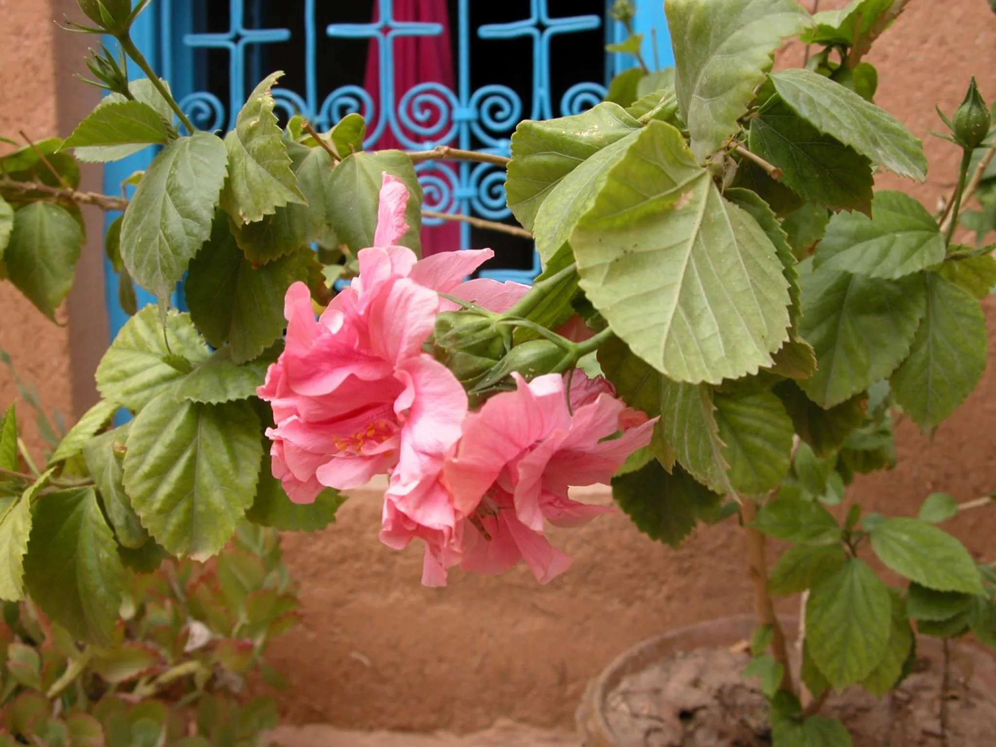 Other in Kasbah Iswan