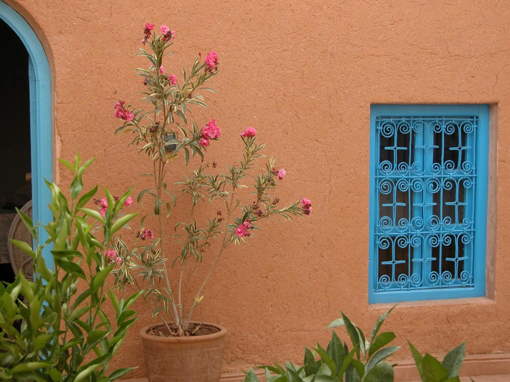 Patio in Kasbah Iswan