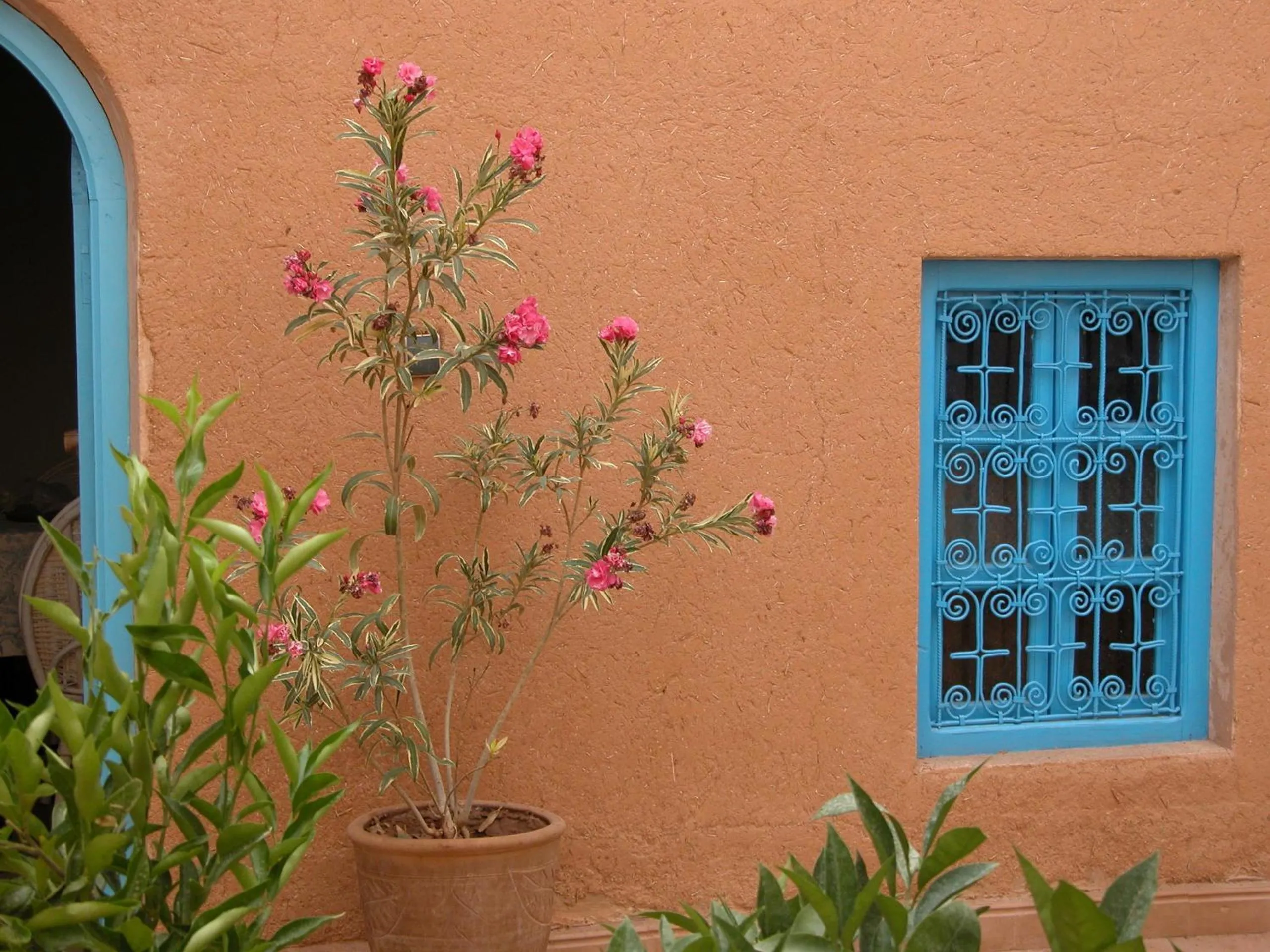 Garden in Kasbah Iswan