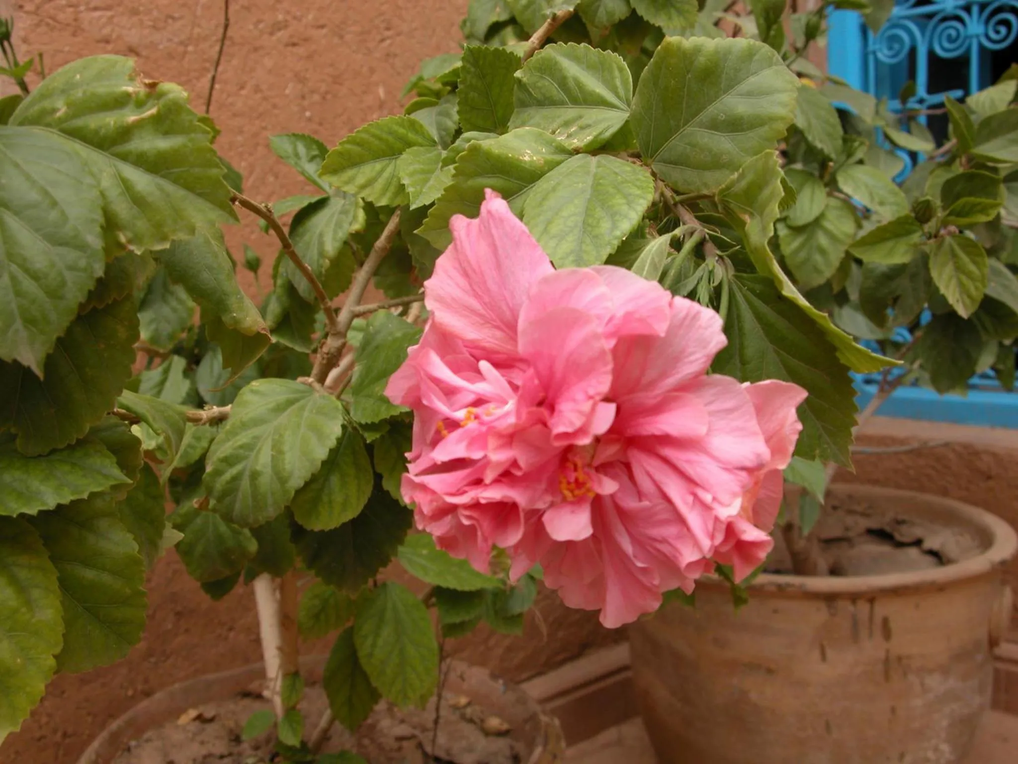 Other in Kasbah Iswan