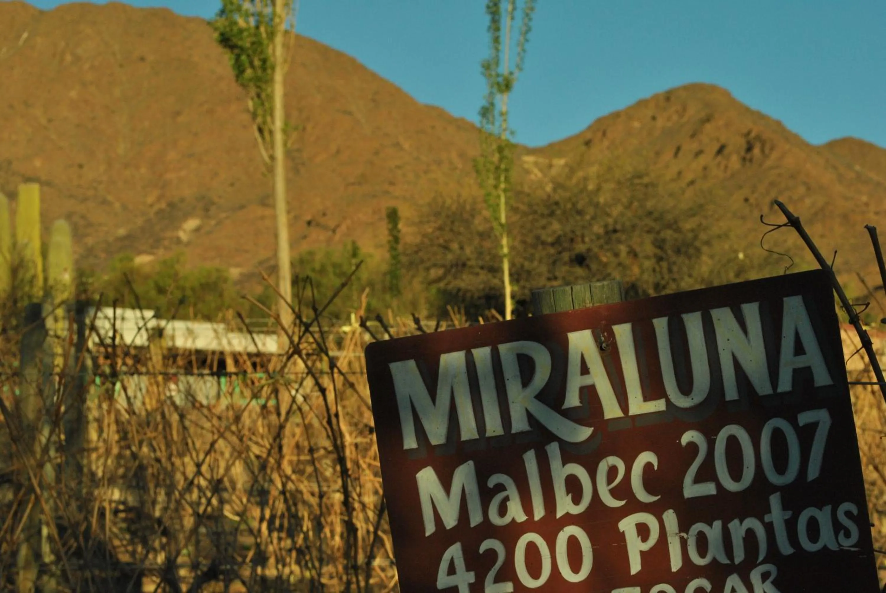 Area and facilities in Miraluna Bodega Boutique
