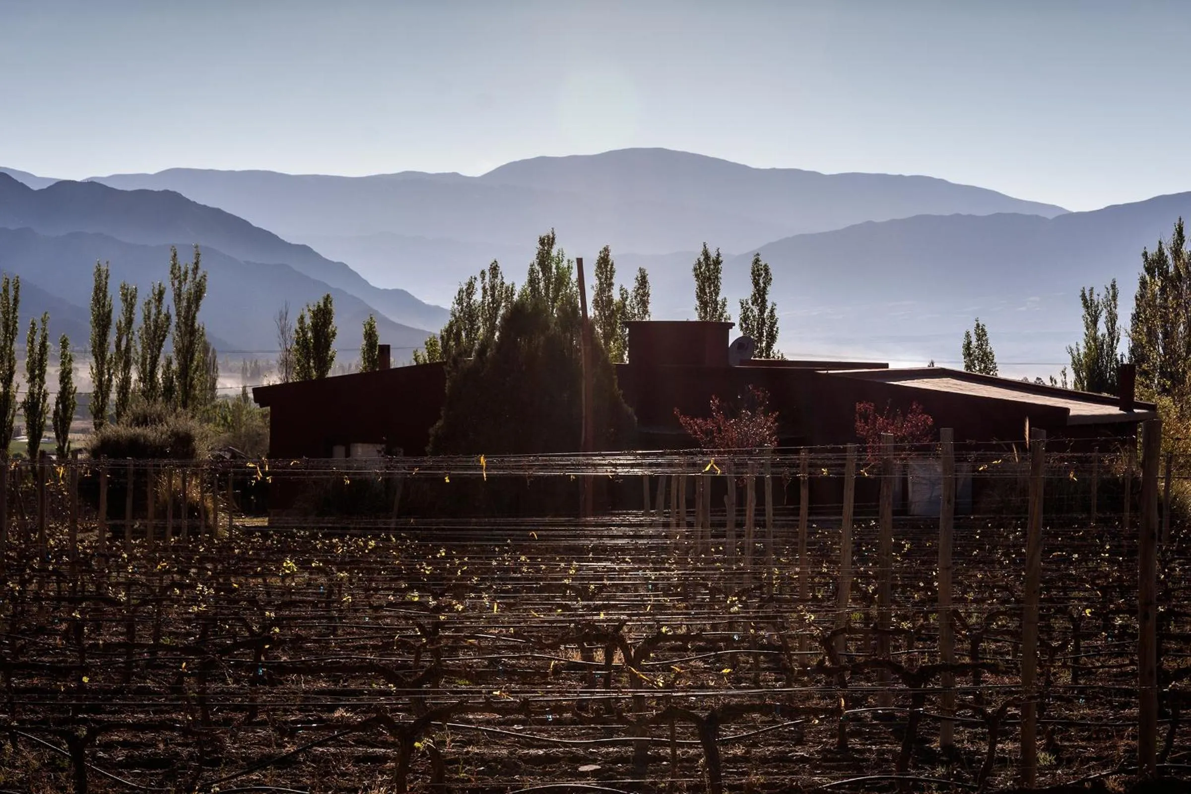 Mountain view in Miraluna Bodega Boutique