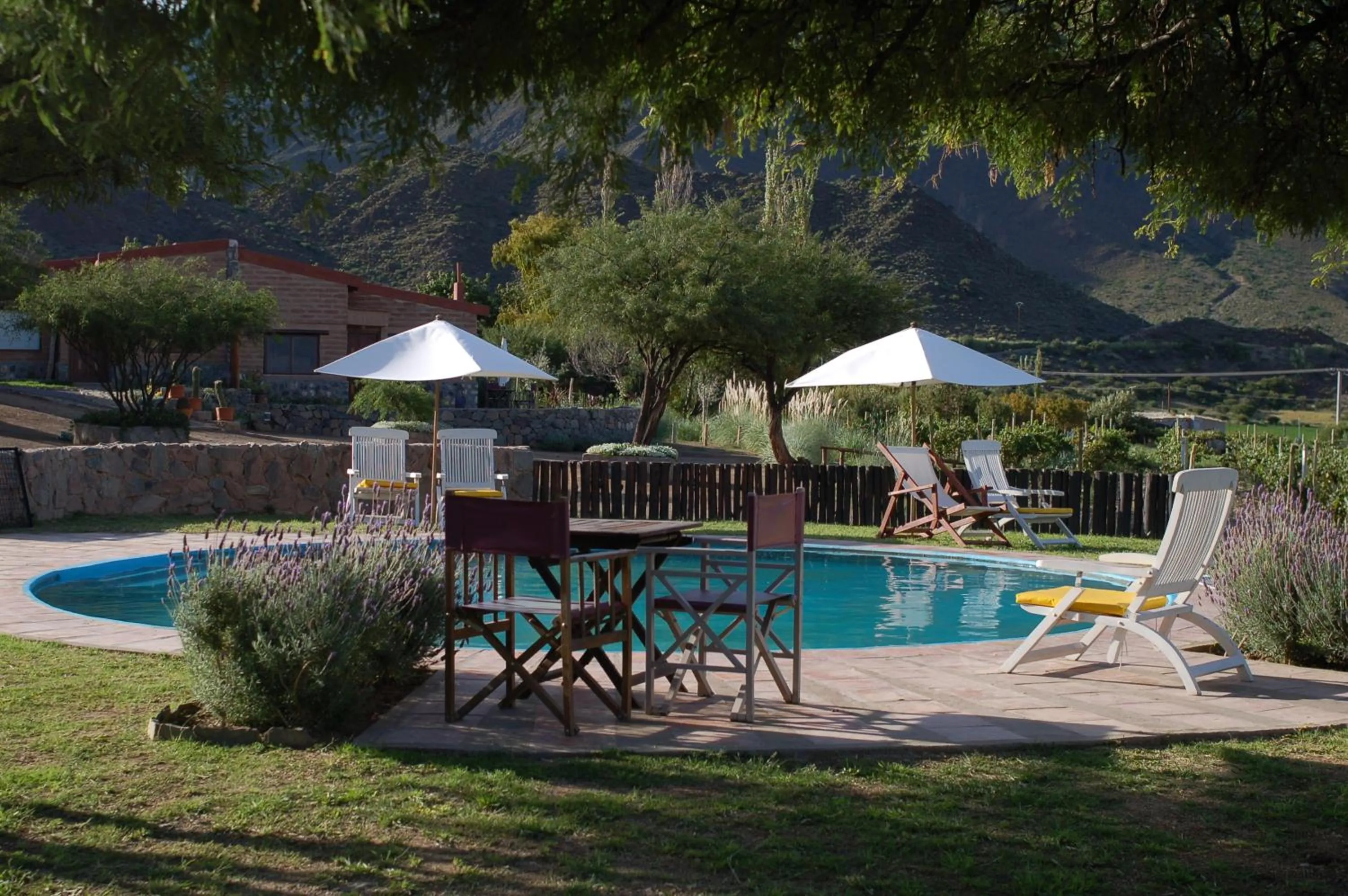 Garden in Miraluna Bodega Boutique
