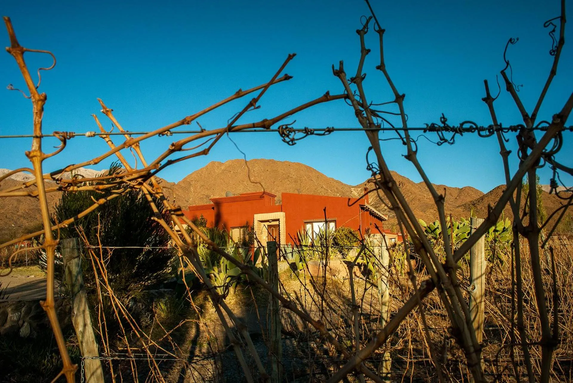 Property building in Miraluna Bodega Boutique