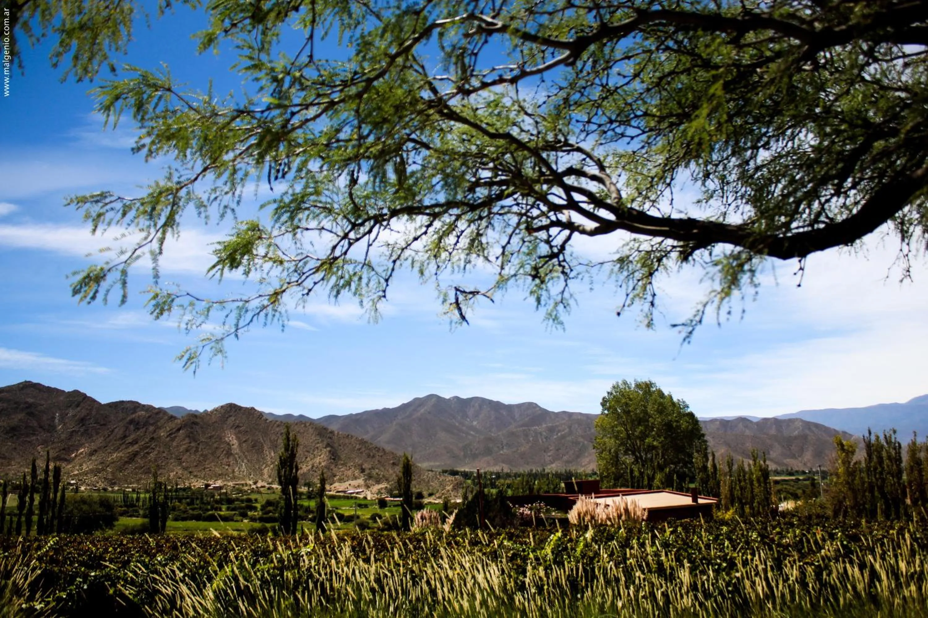 Off site in Miraluna Bodega Boutique