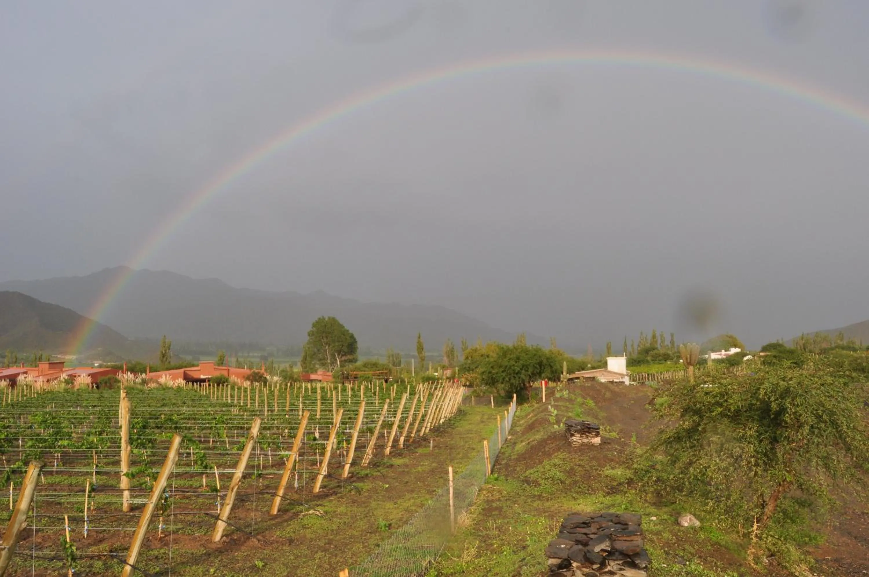 Area and facilities in Miraluna Bodega Boutique