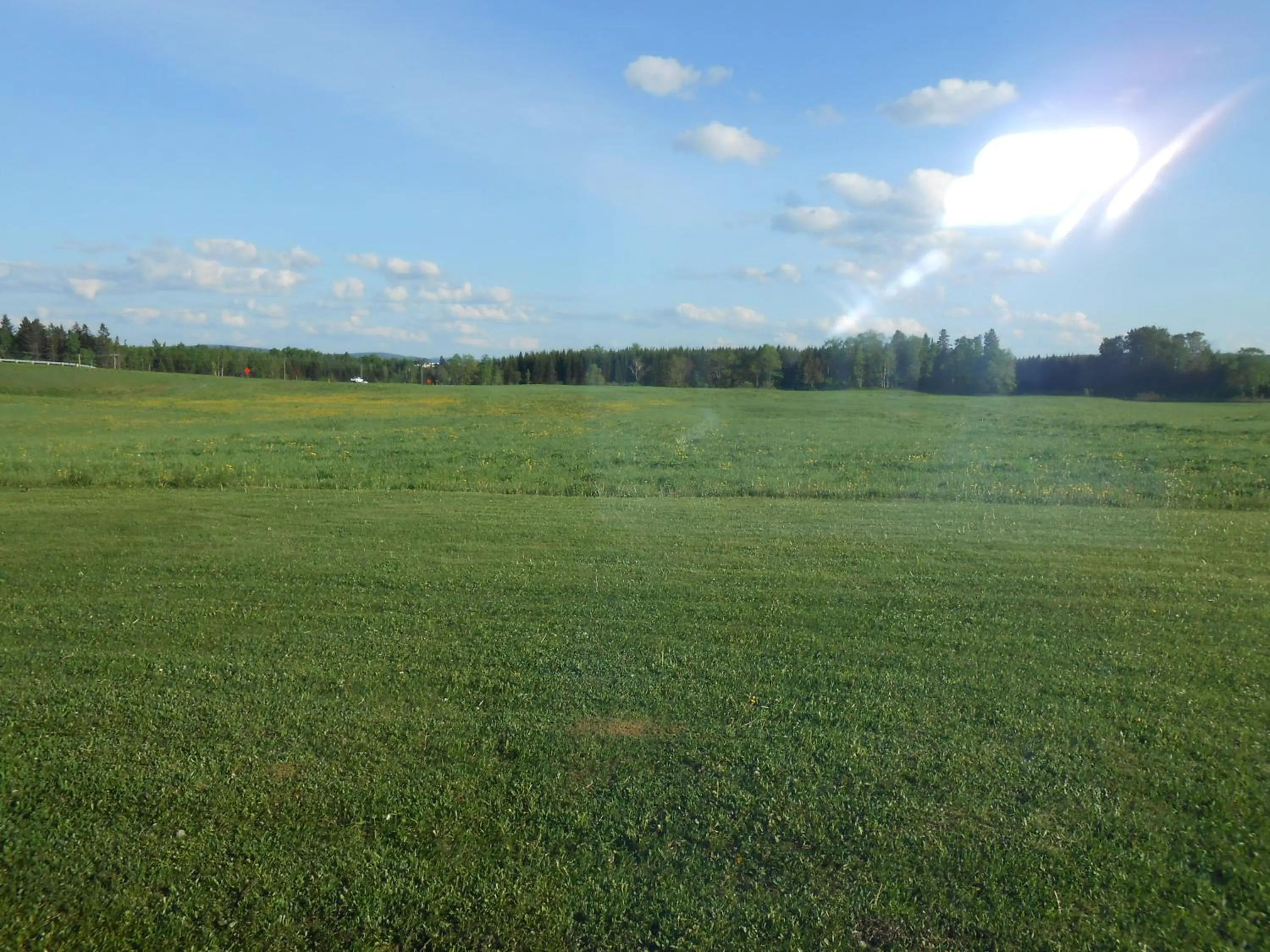 View (from property/room) in Knights Inn Woodstock