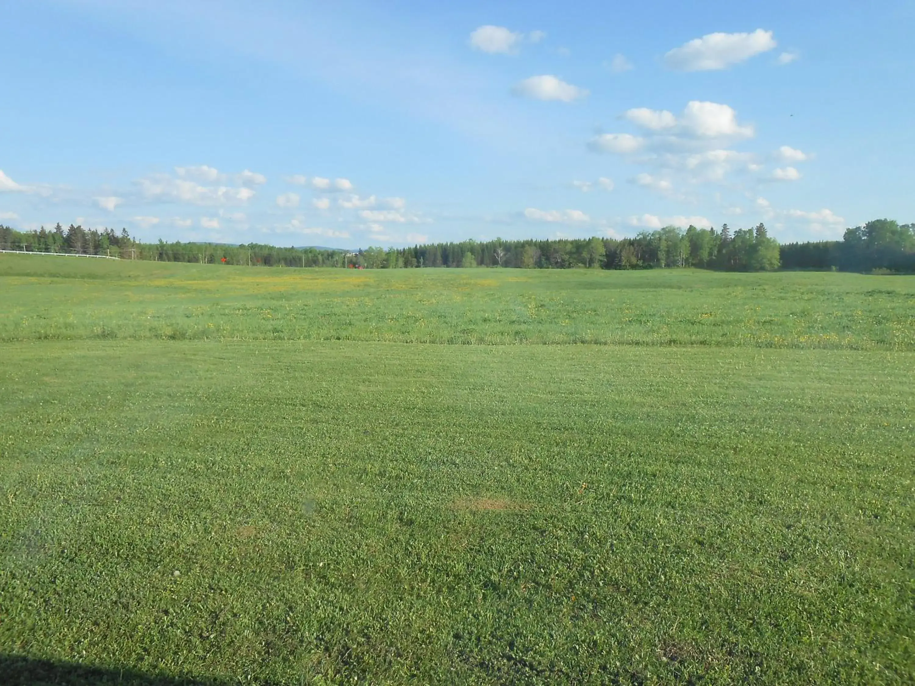 View (from property/room) in Knights Inn Woodstock View (from property/room) in Knights Inn Woodstock