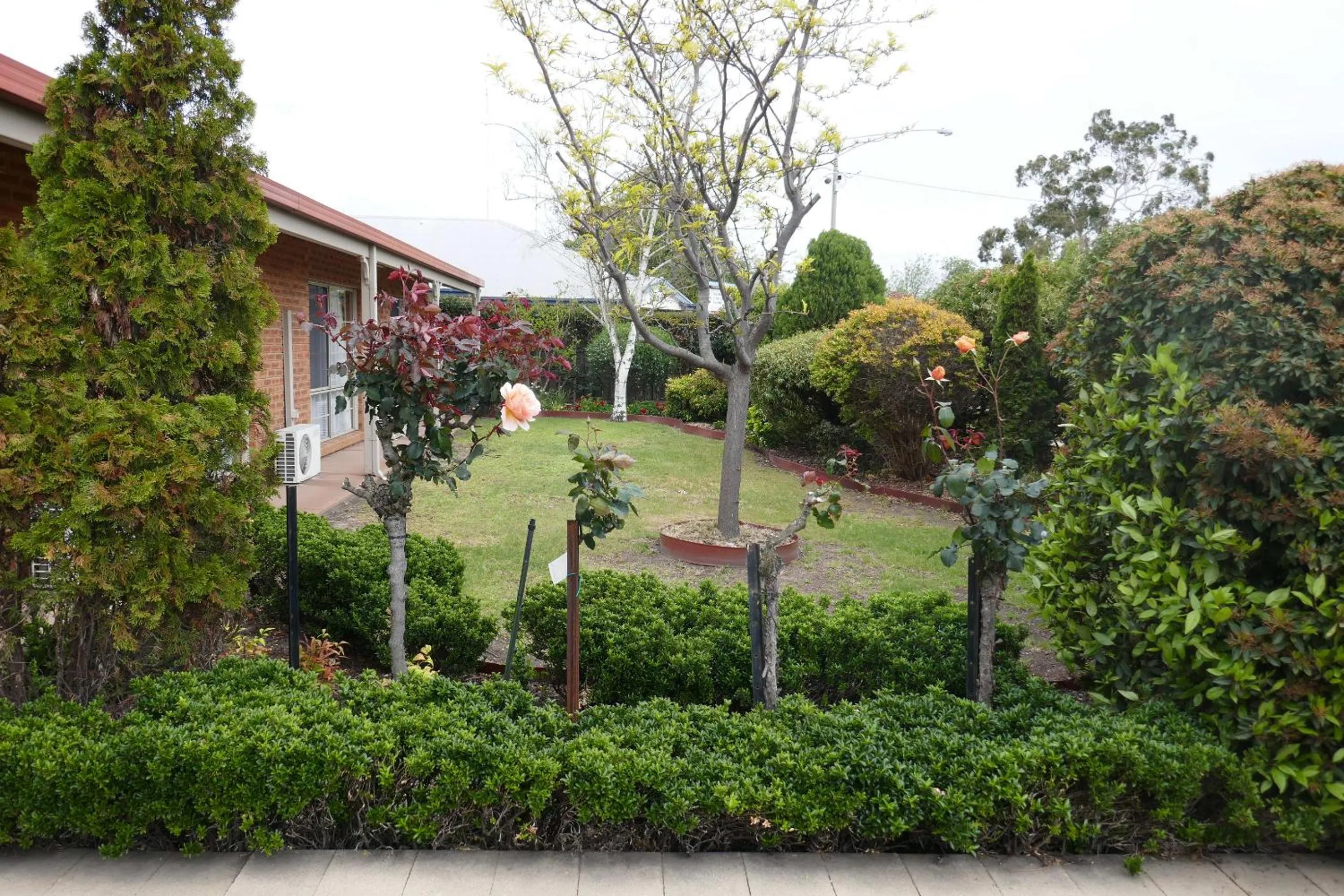Garden view in Colonial Motor Inn Bairnsdale Golden Chain Property