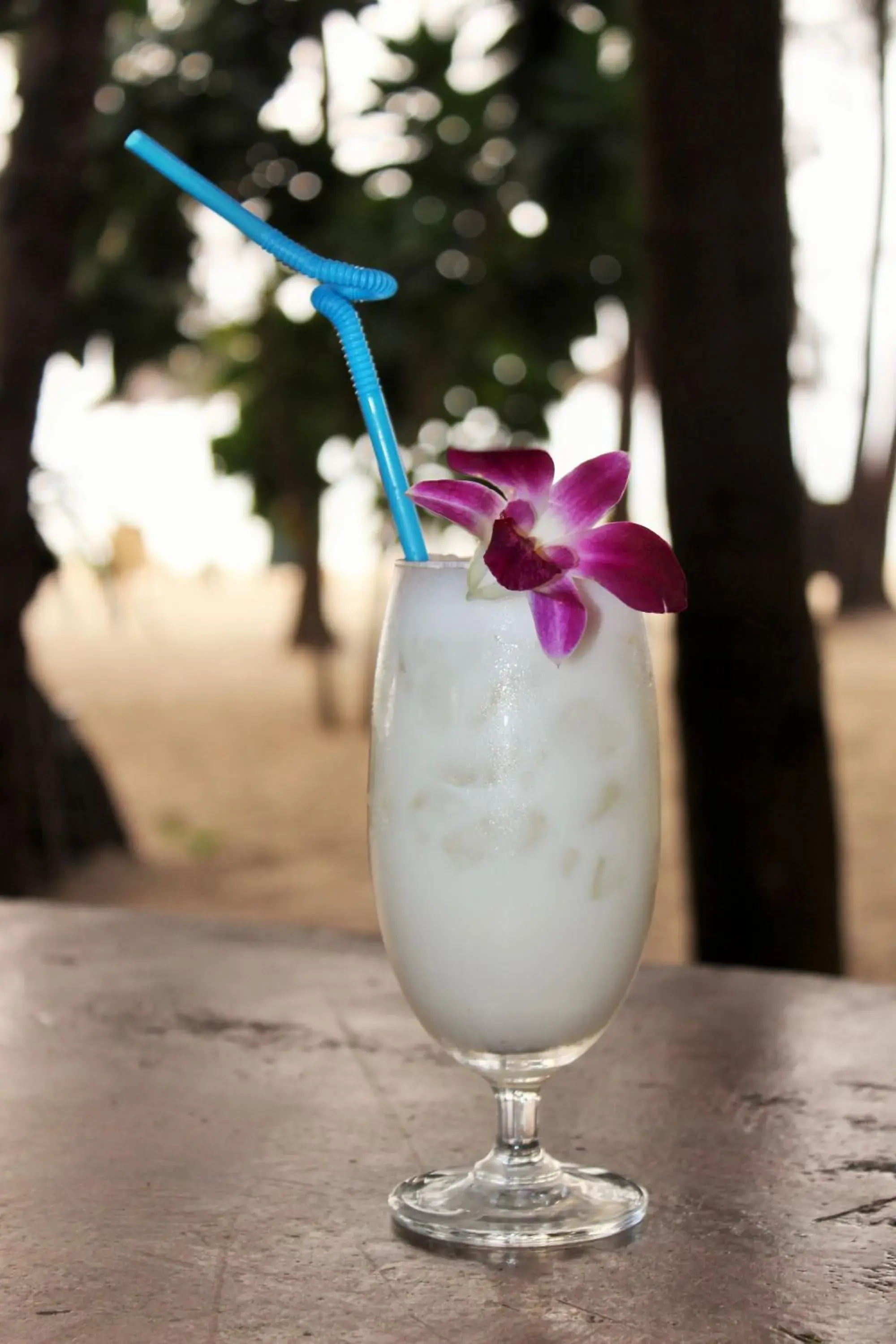 Lounge or bar in Cousin Koh Kho Khao Beach Lounge or bar in Cousin Koh Kho Khao Beach