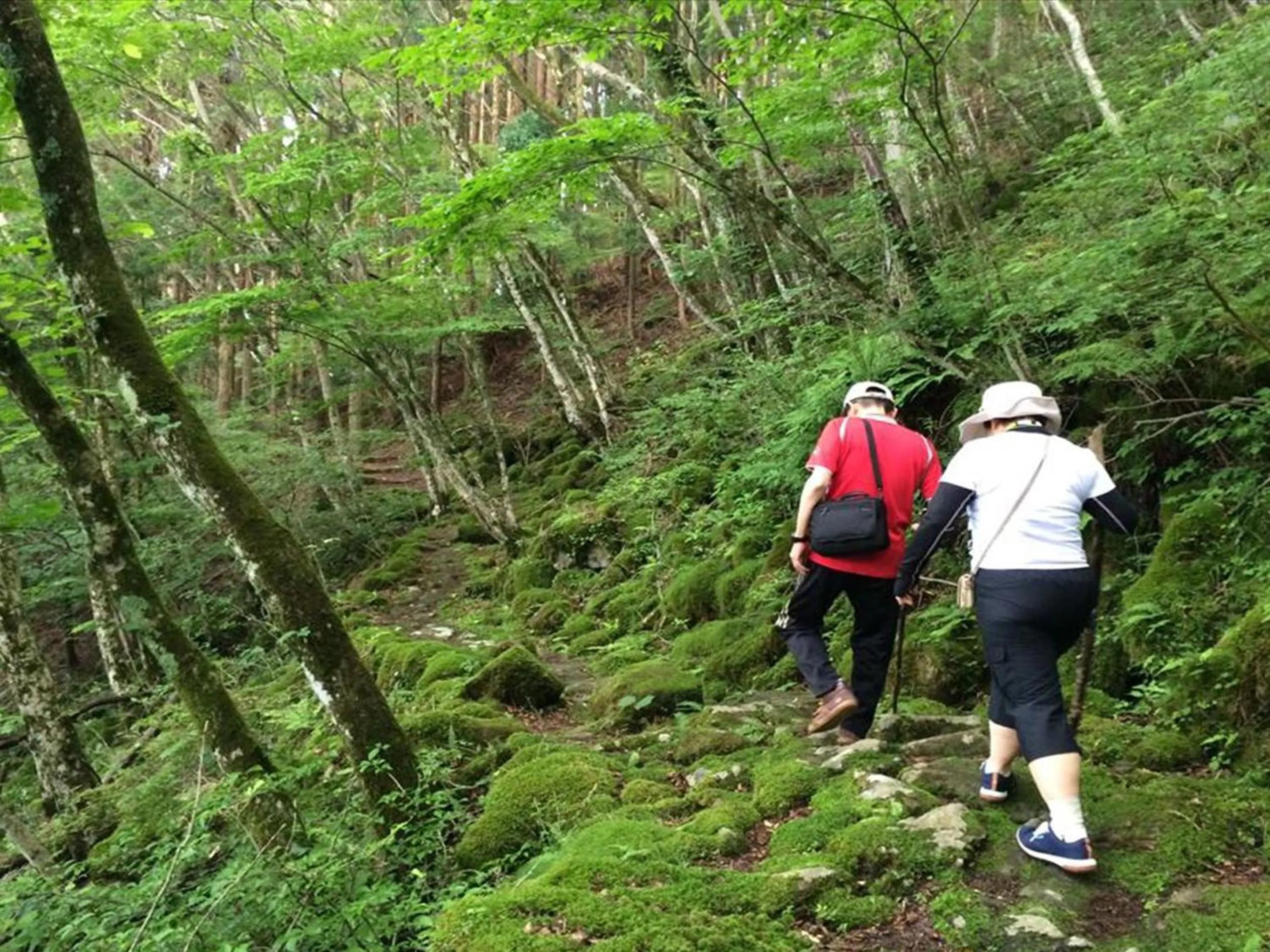 Nearby landmark in Hinotani Onsen Misugi Resort