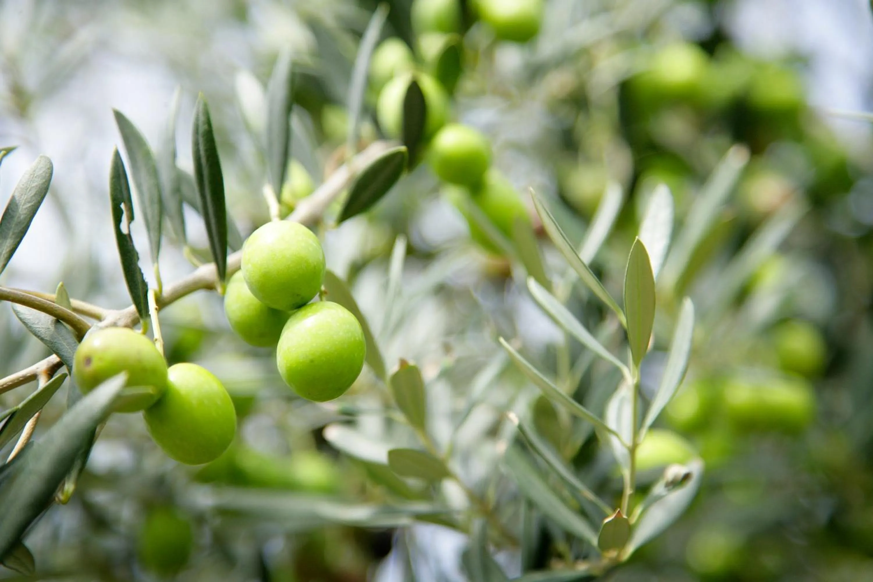 Day in Sakaide Plaza Hotel