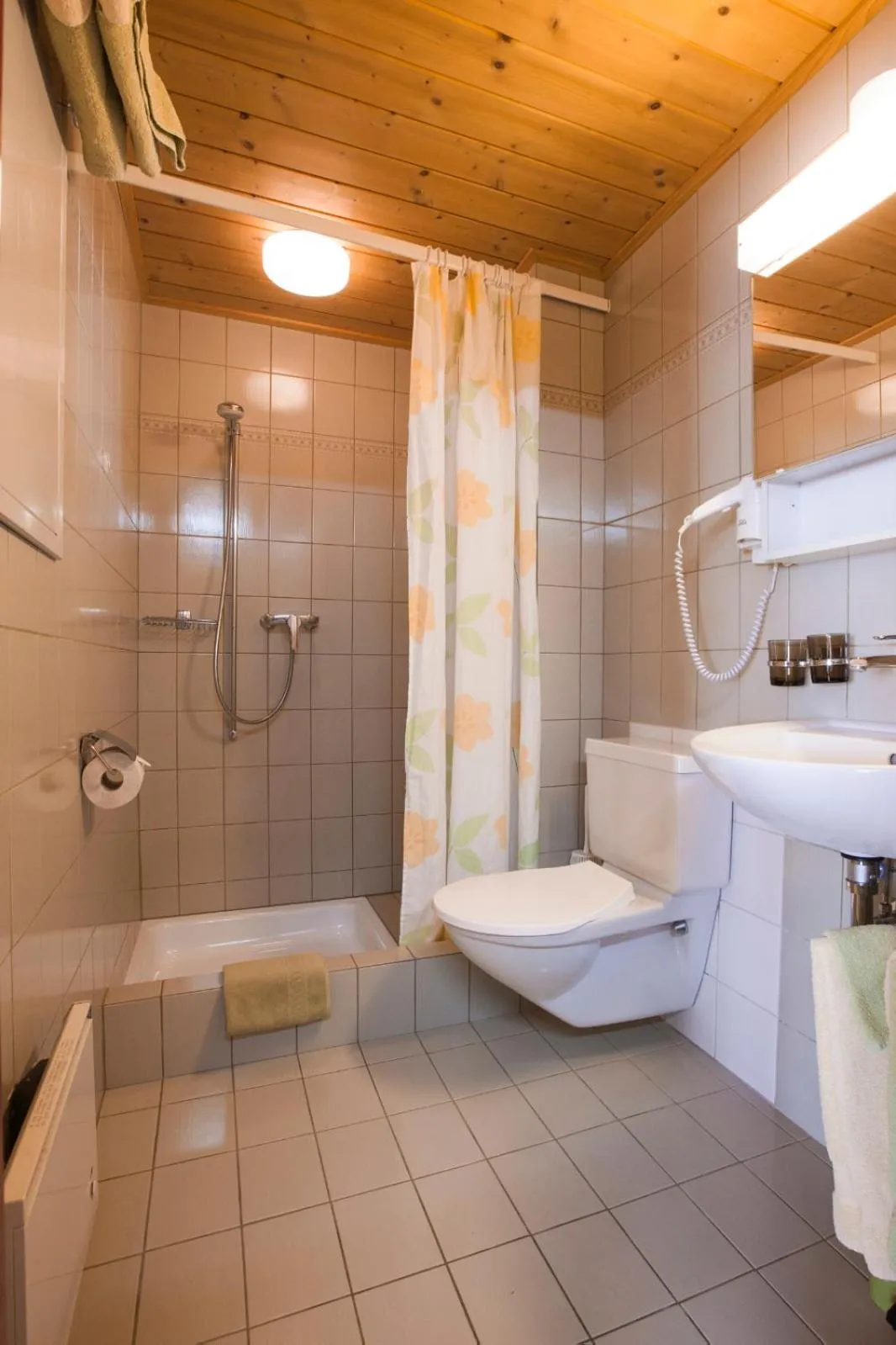 Toilet in Hotel Restaurant Schönau