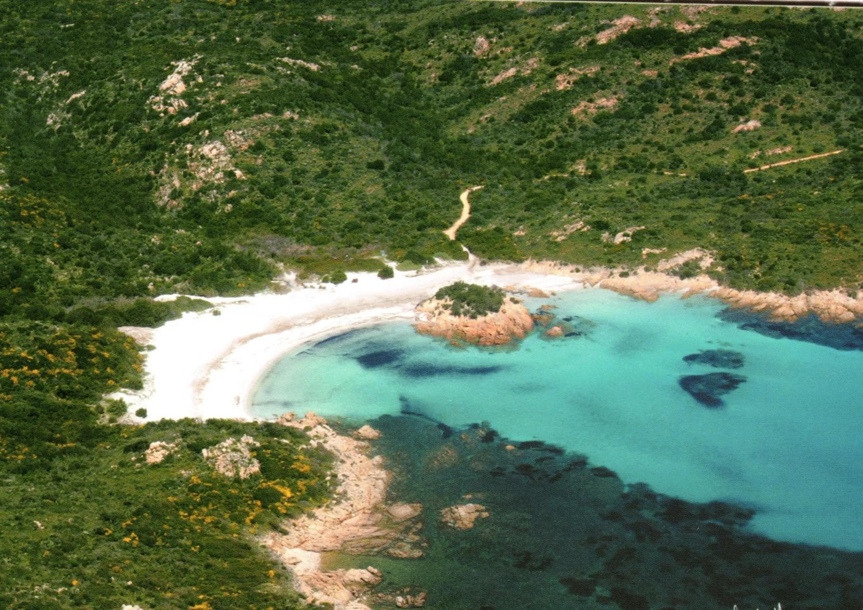 Natural landscape in Hotel Olimpia