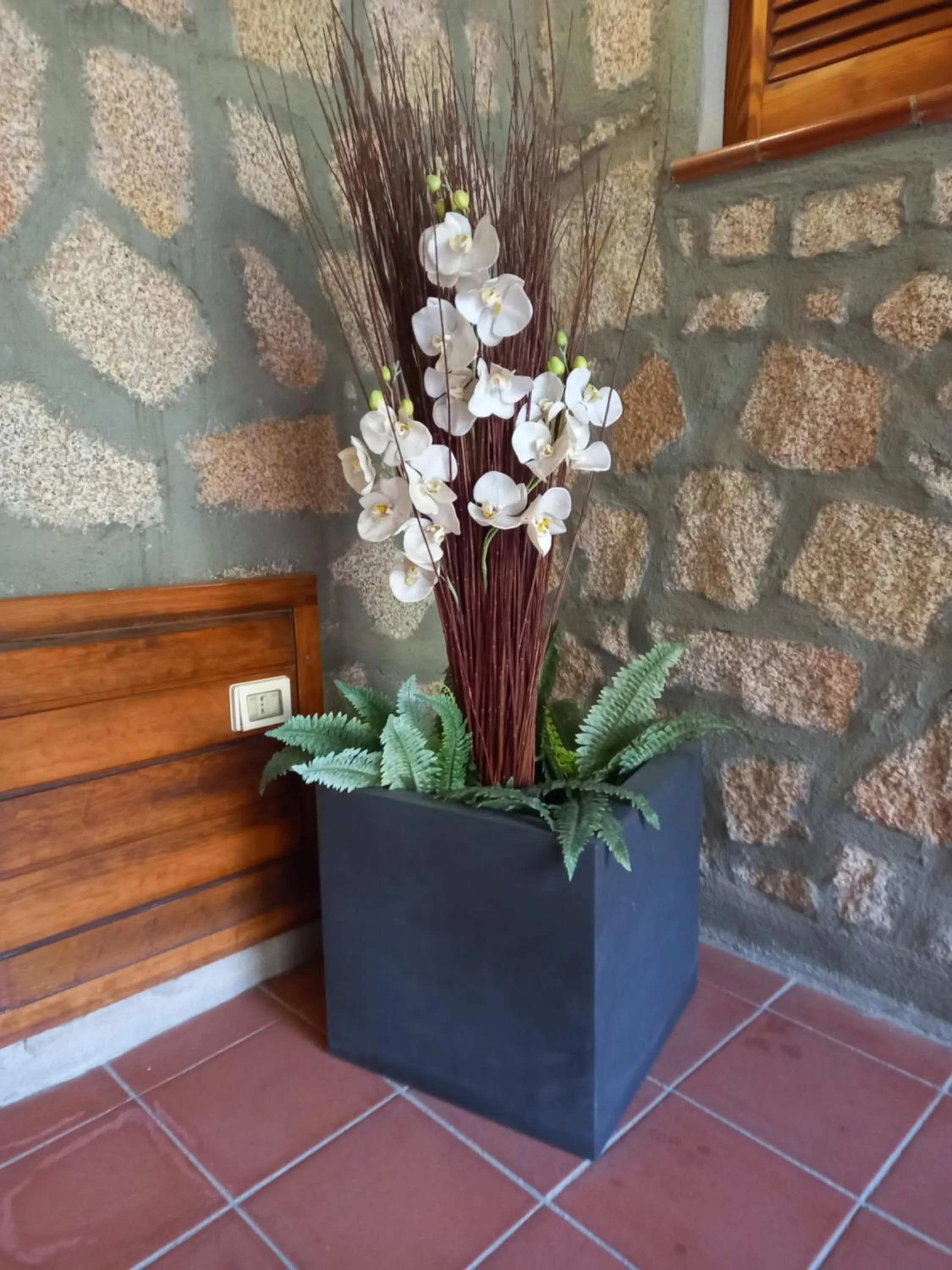 Patio in Hotel Olimpia