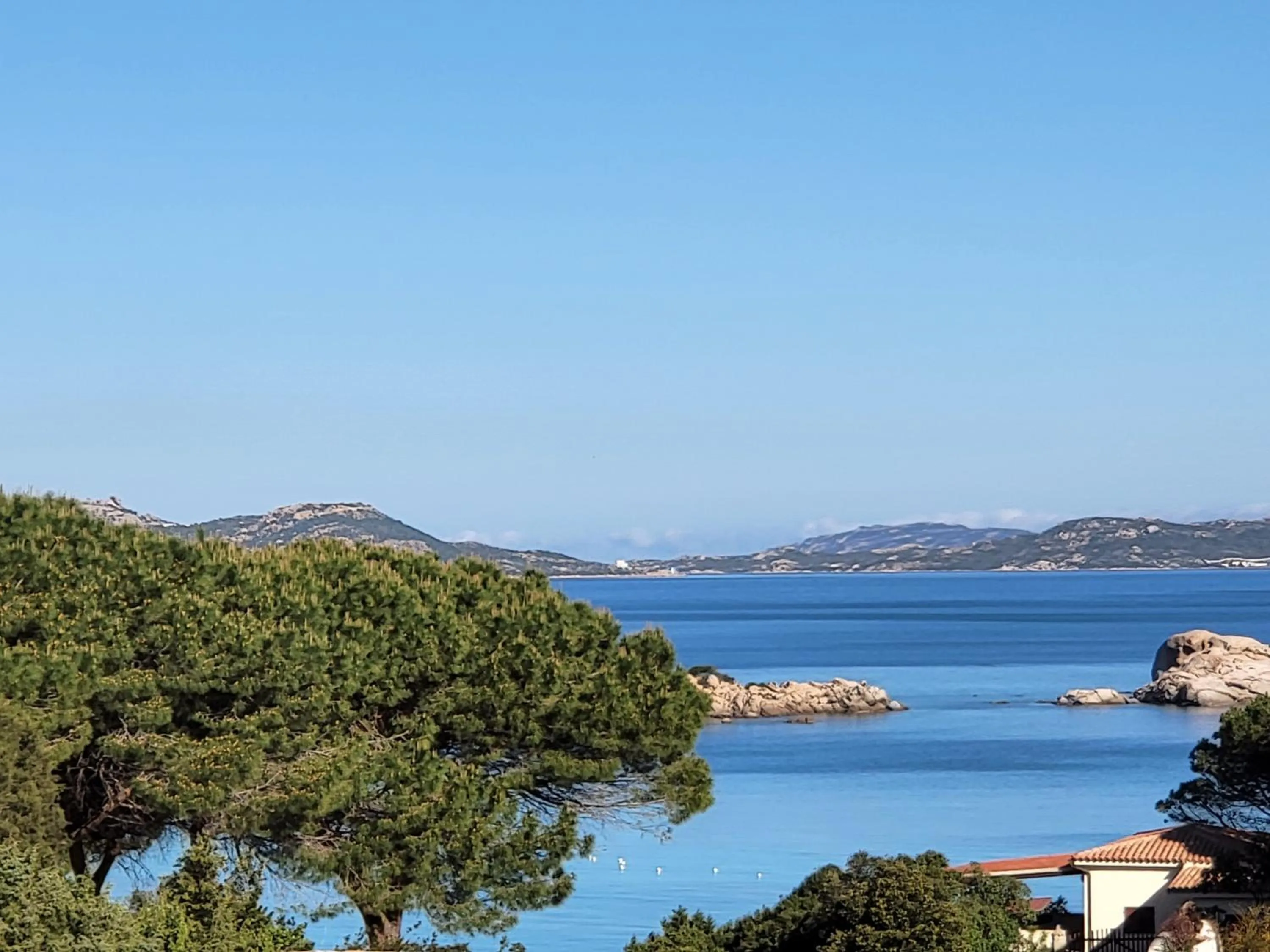 Natural landscape in Hotel Olimpia