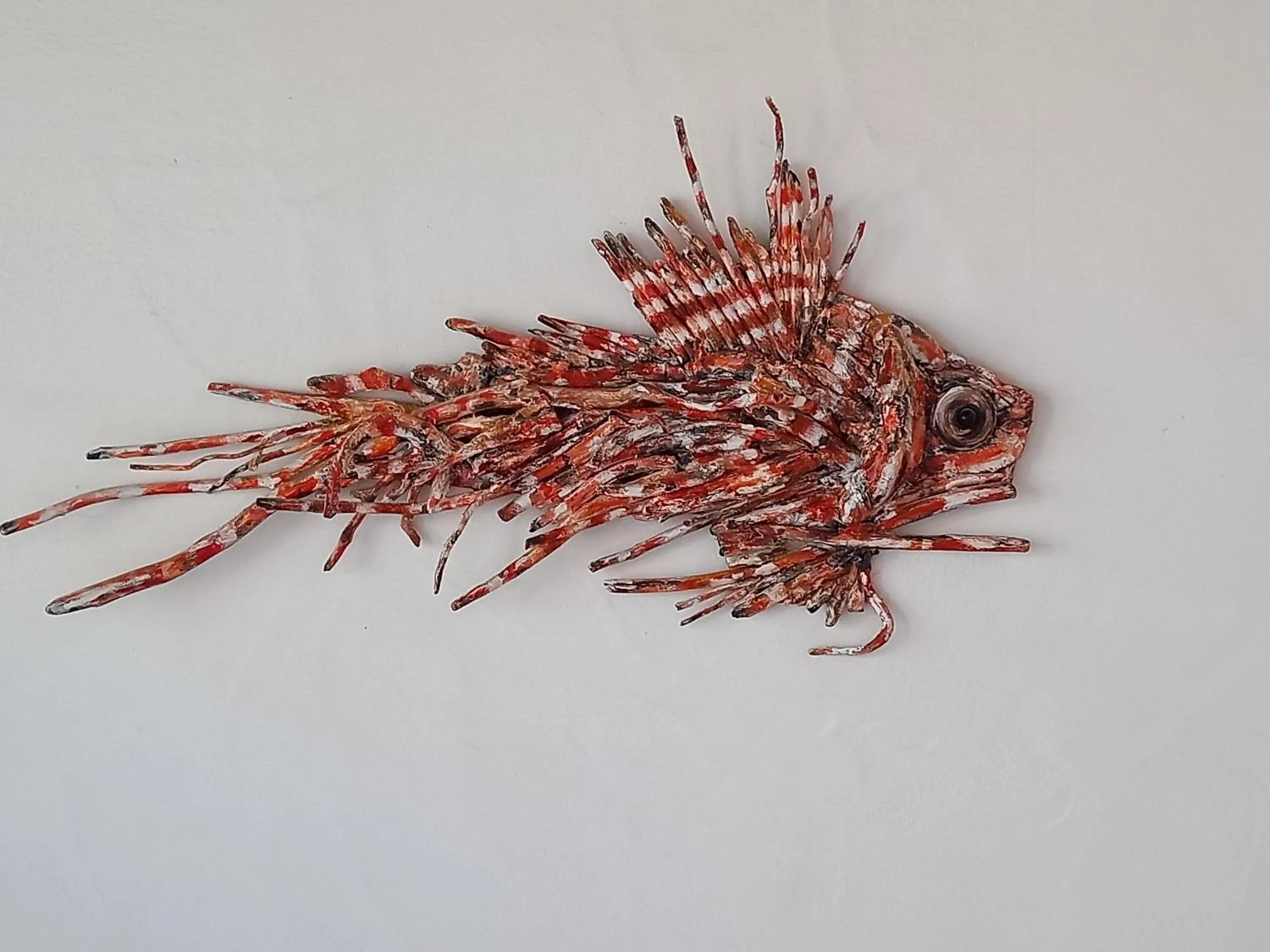 Animals in Hotel Olimpia