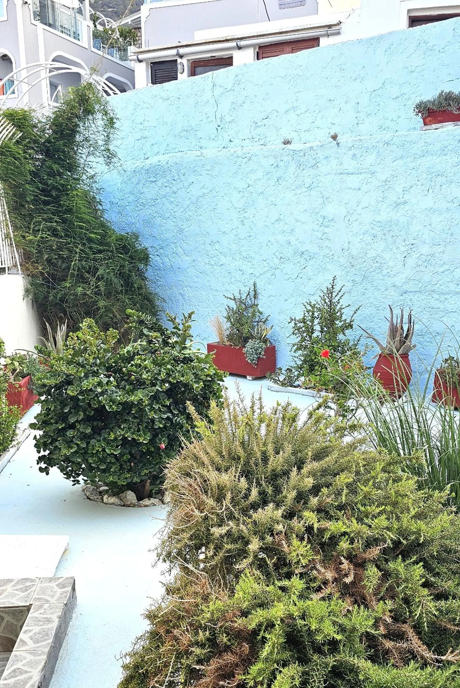 Garden in Akis Hotel