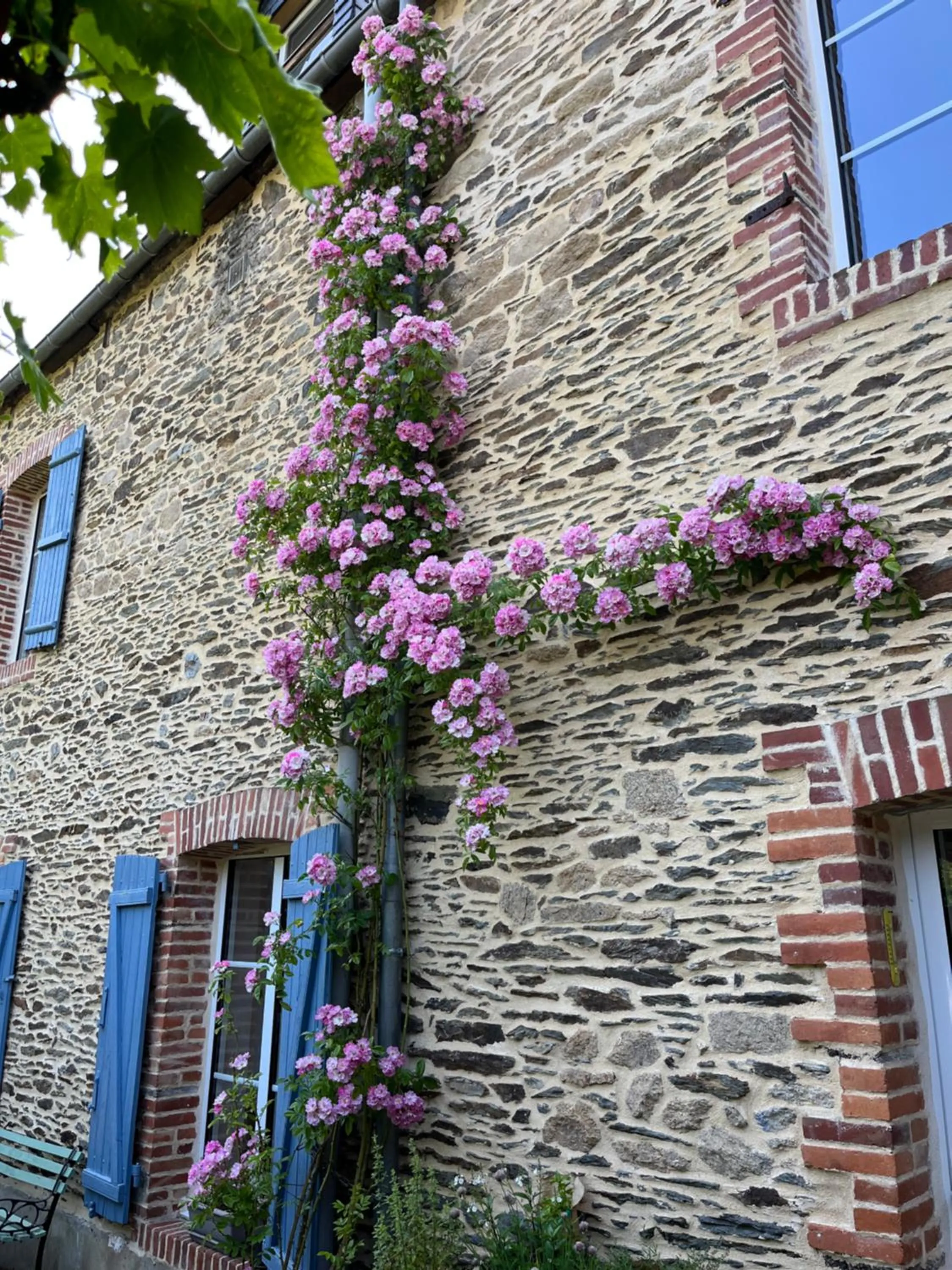 Property building in La Maison