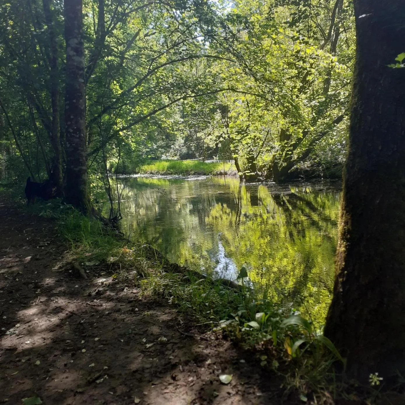 Nearby landmark in Chambre d'Hote Woody