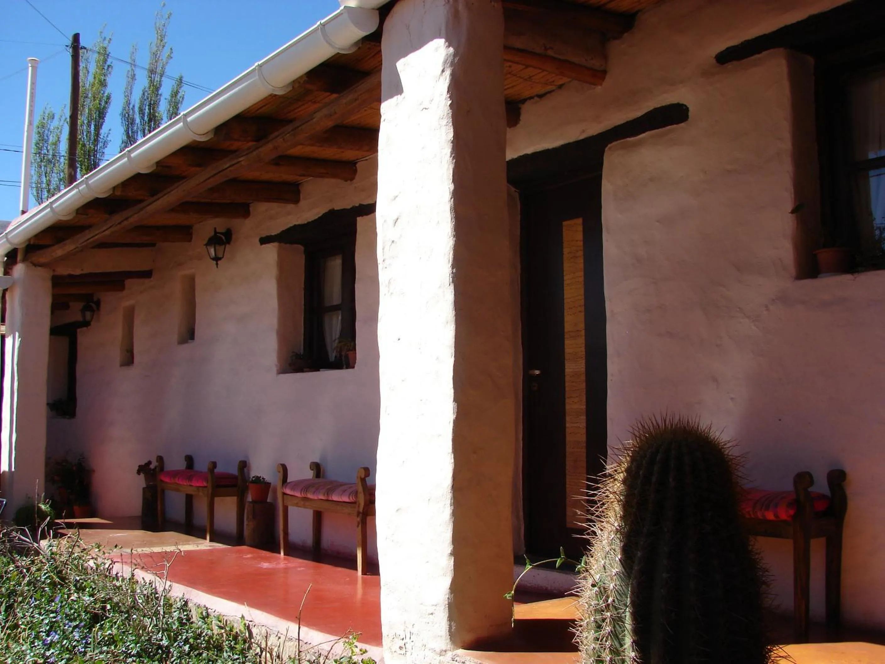 Garden in Hotel Norte Rupestre