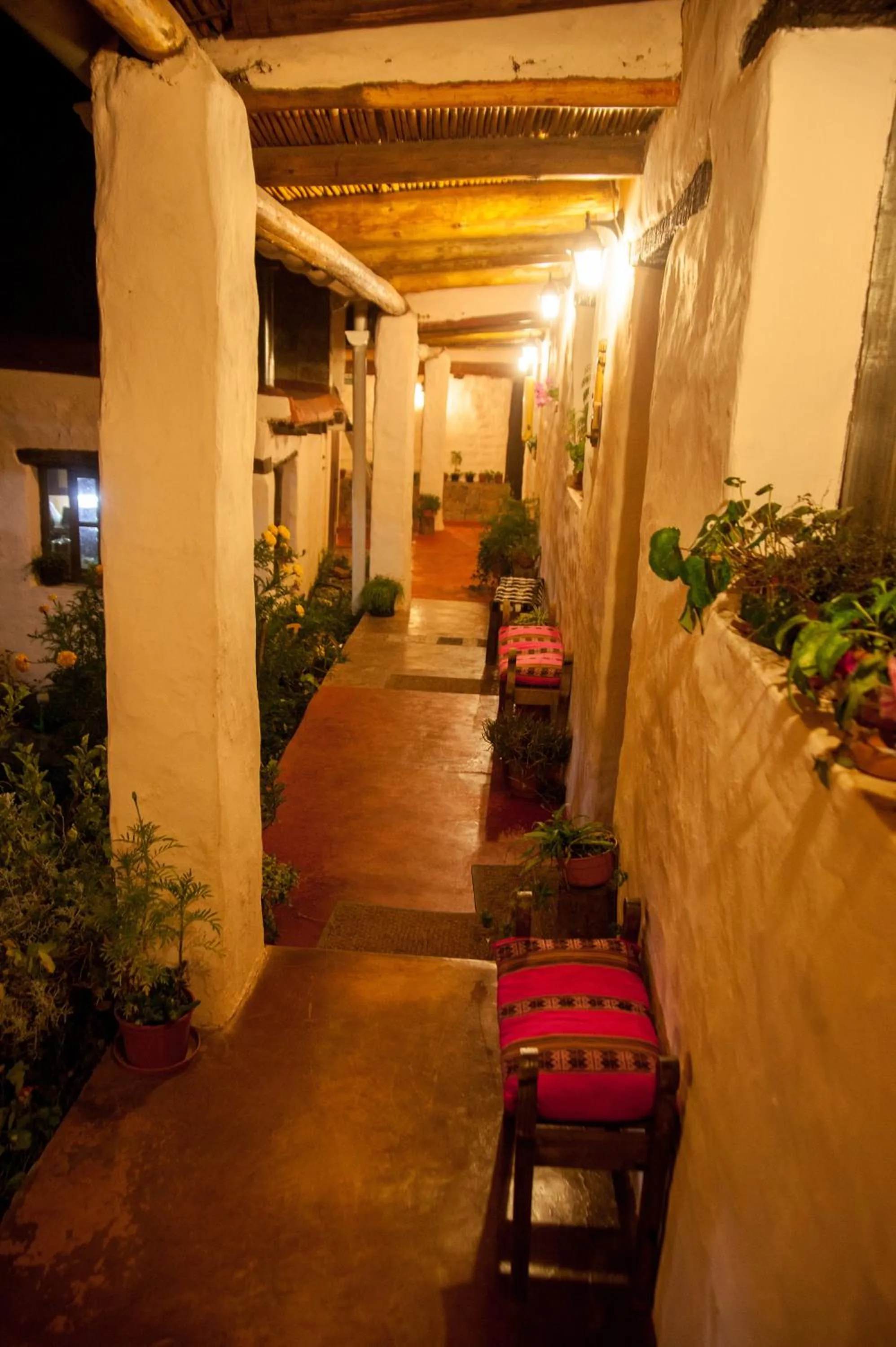 Garden in Hotel Norte Rupestre