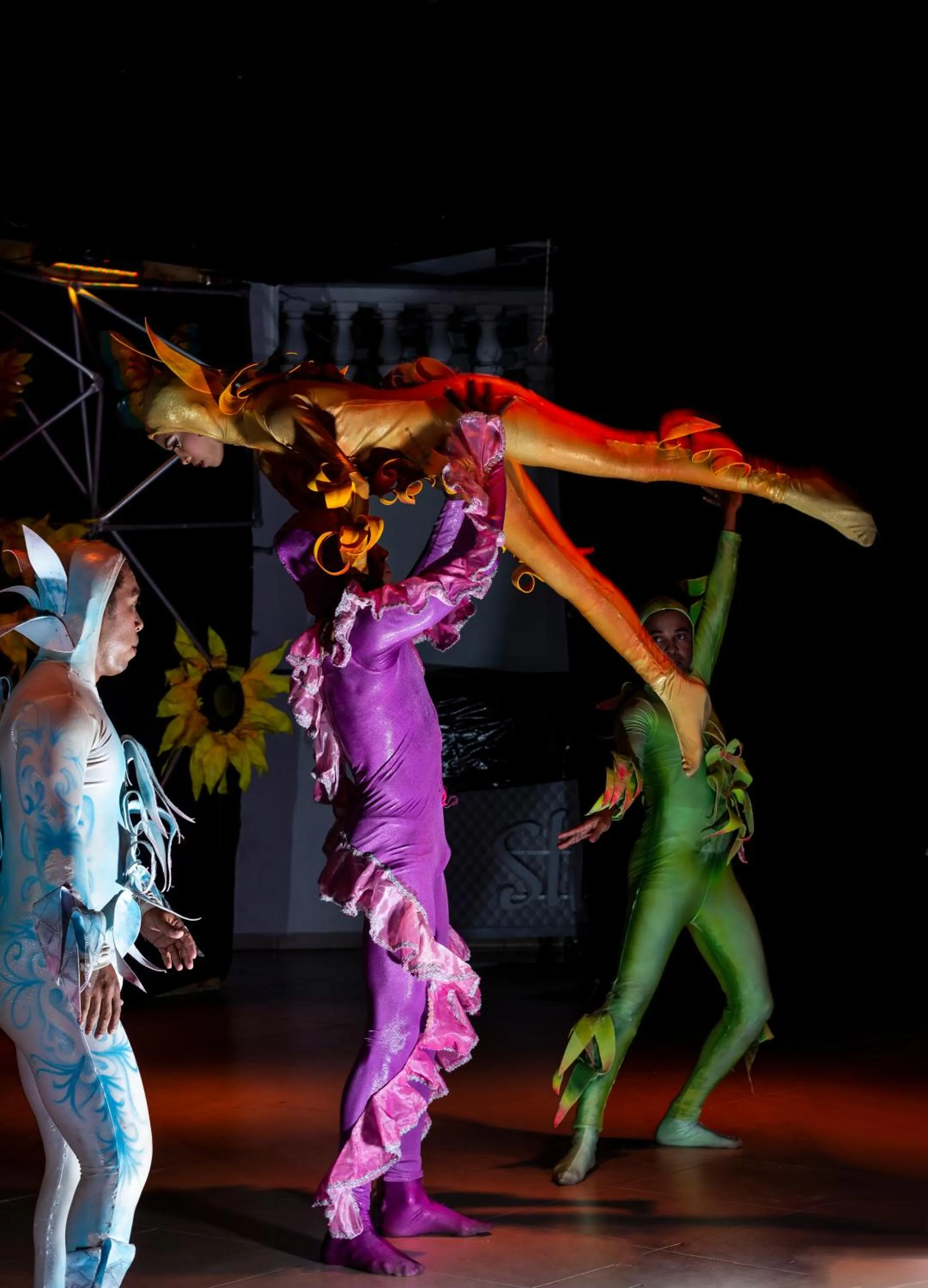 Activities in Hotel El Dorado