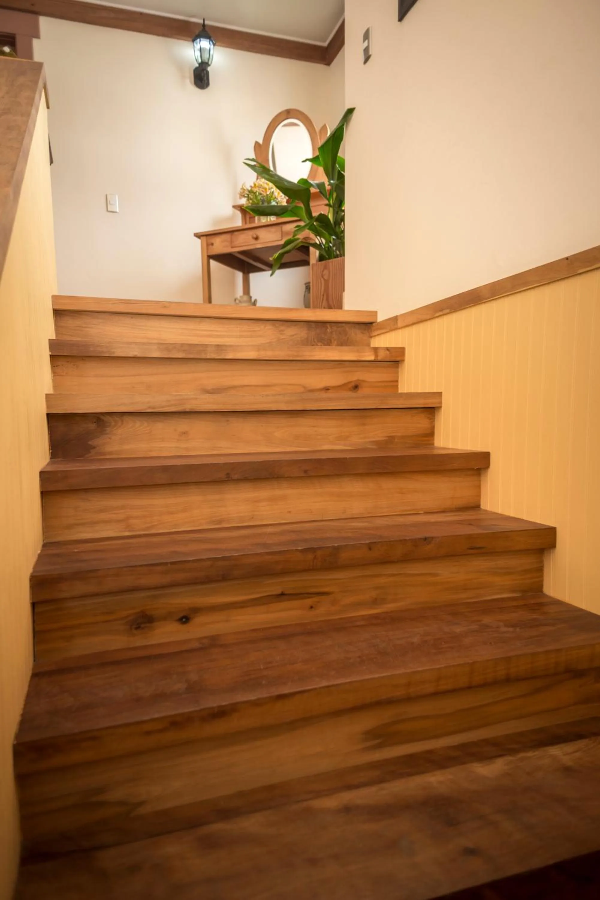 Area and facilities in Weisserhaus