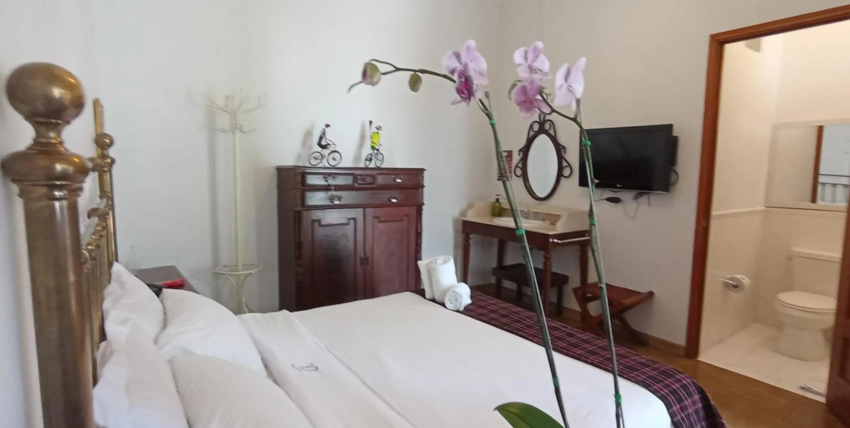 Budget Double Room - single occupancy in Hotel Don Alfonso