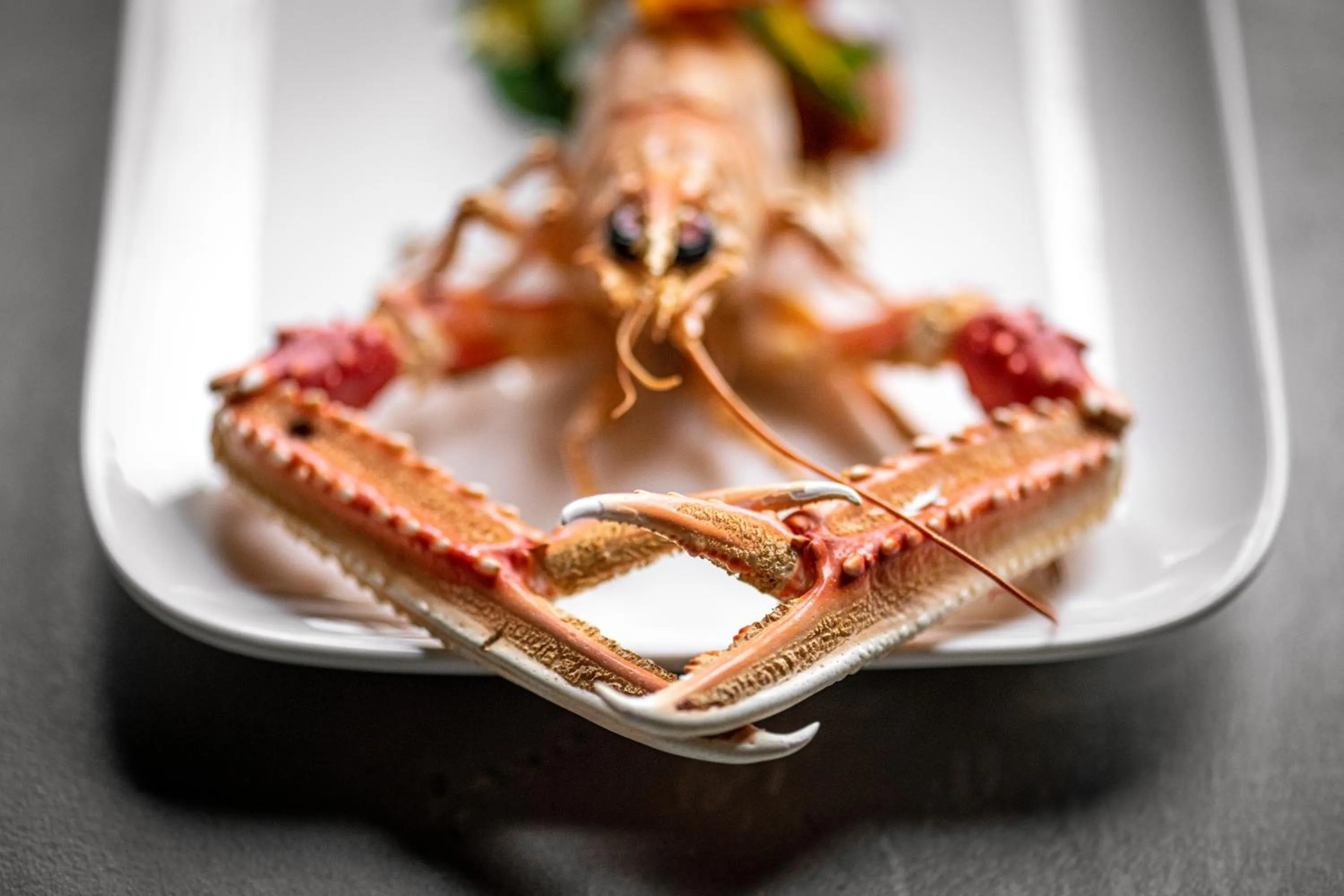 Château de la Chapelle