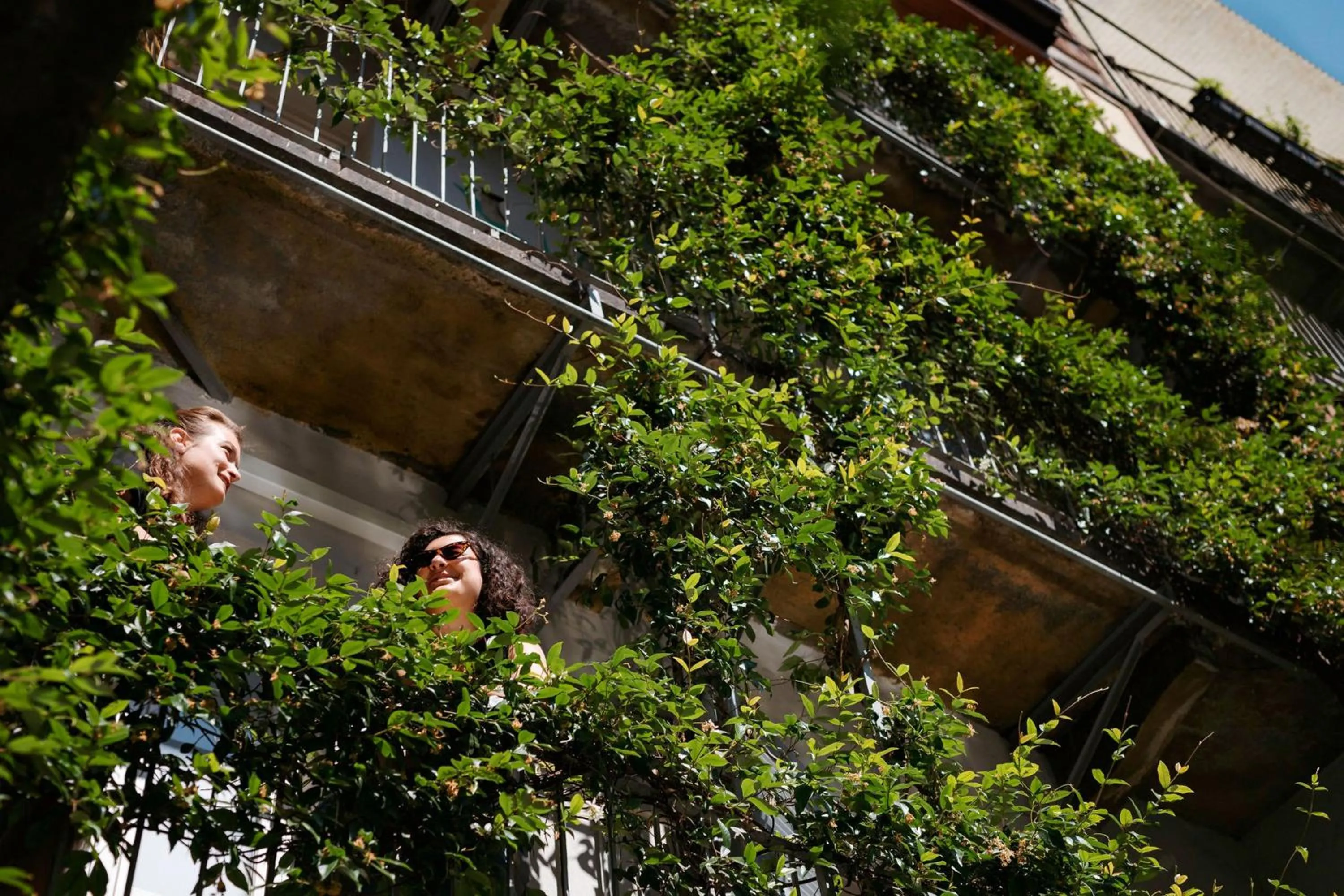 Spring in Tomato Urban Retreat