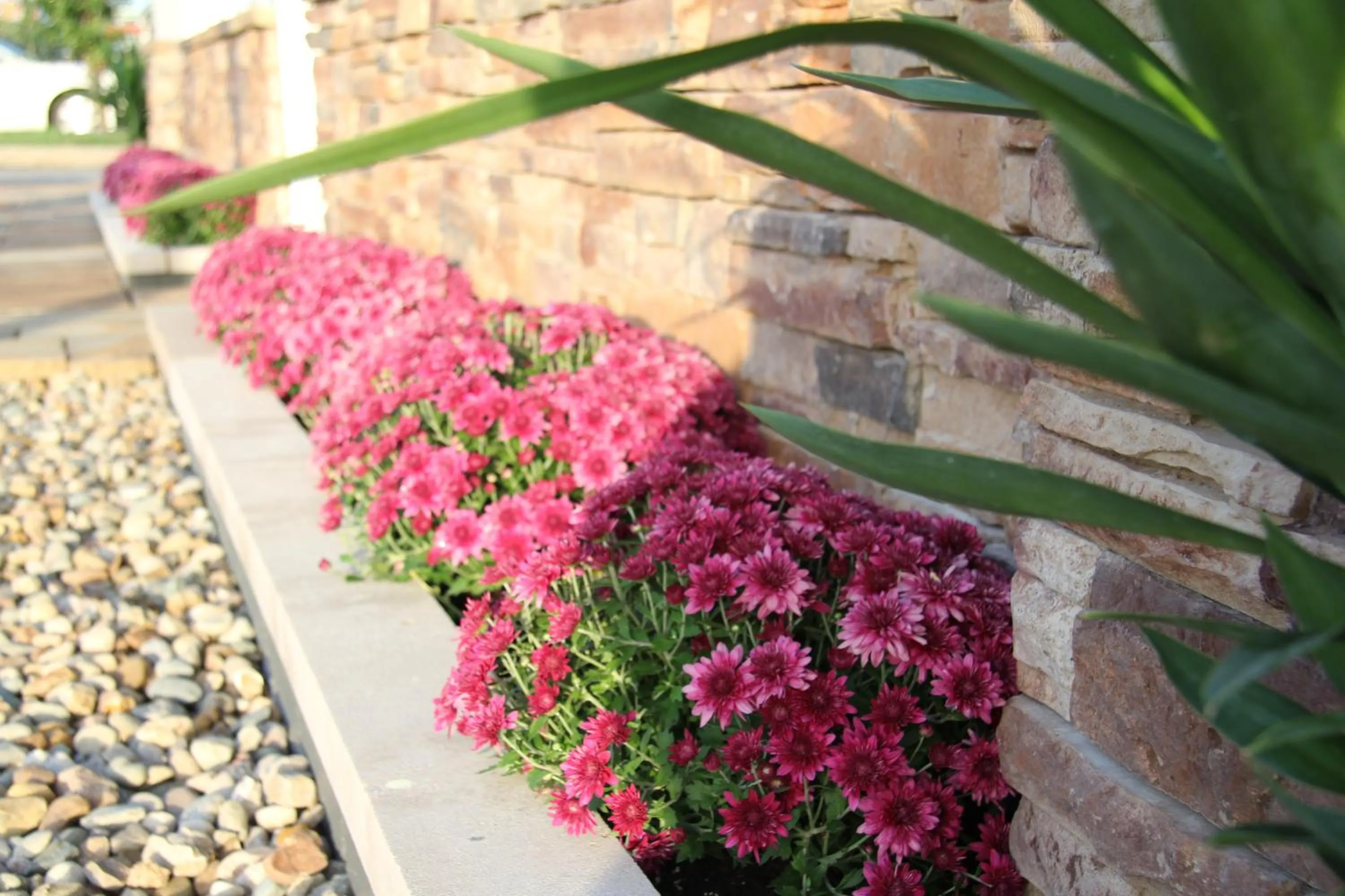 Facade/entrance in Regency Inn of Eddyville Kuttawa