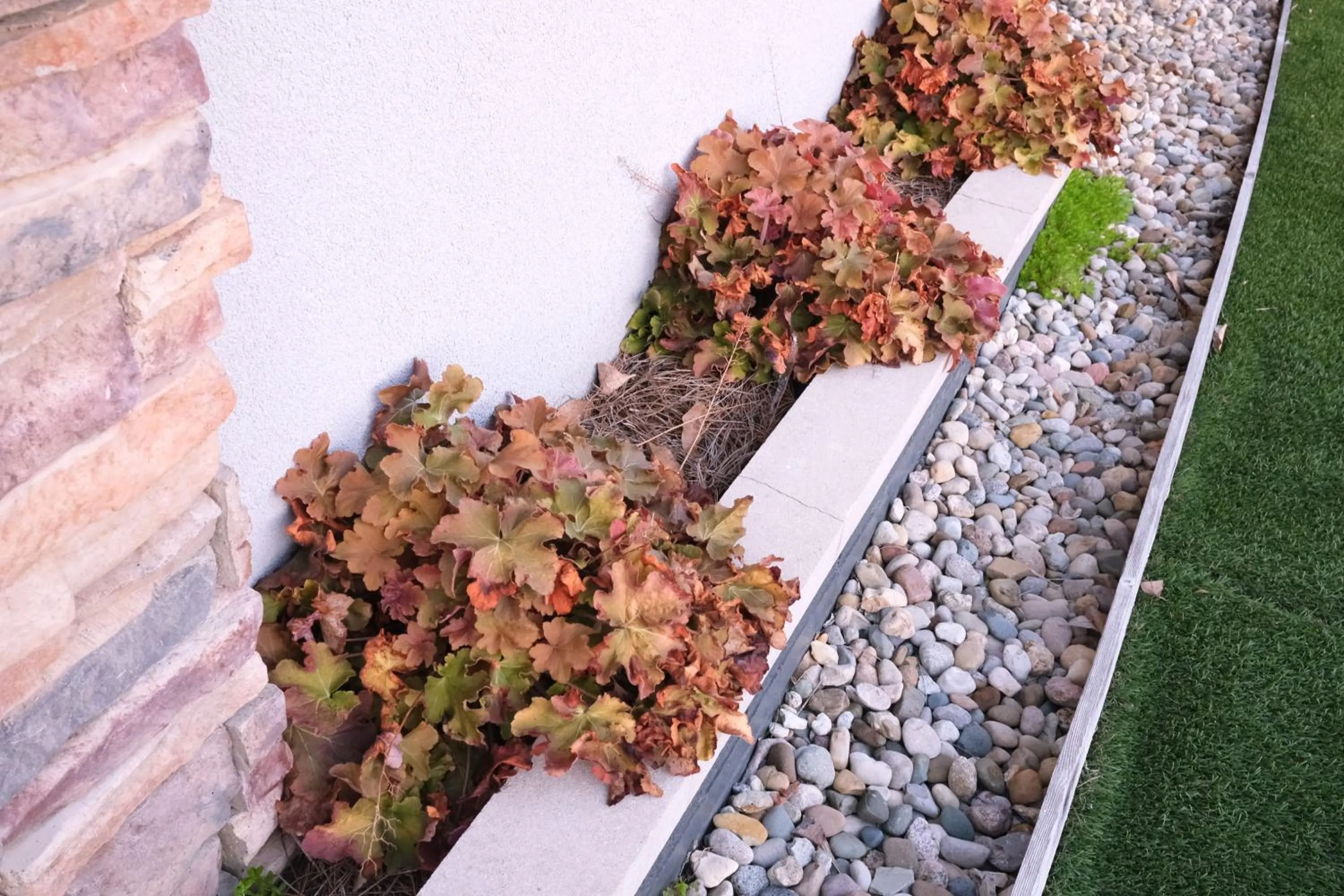 Natural landscape in Regency Inn of Eddyville Kuttawa