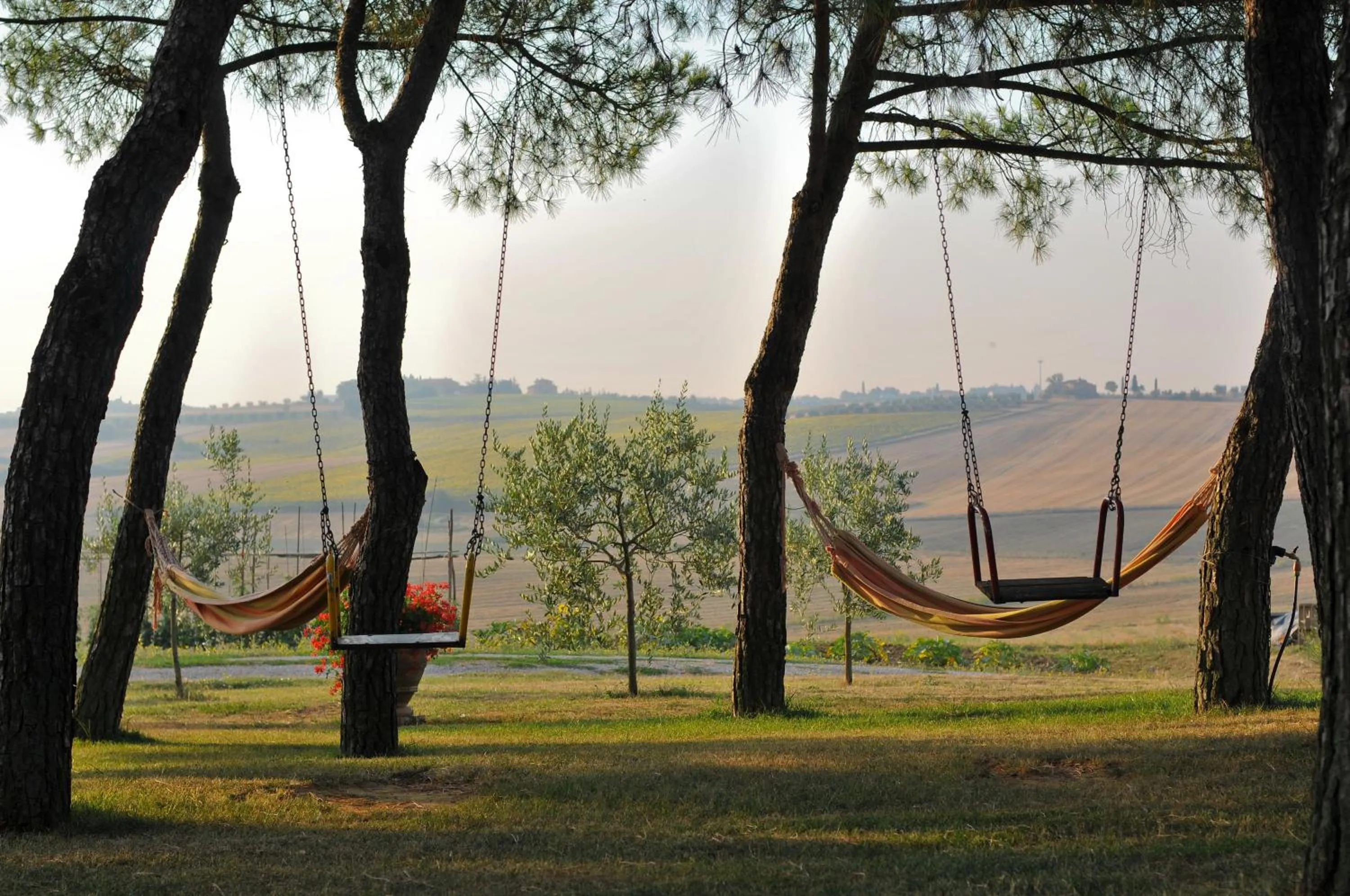Garden in Casa Bellavista B&B