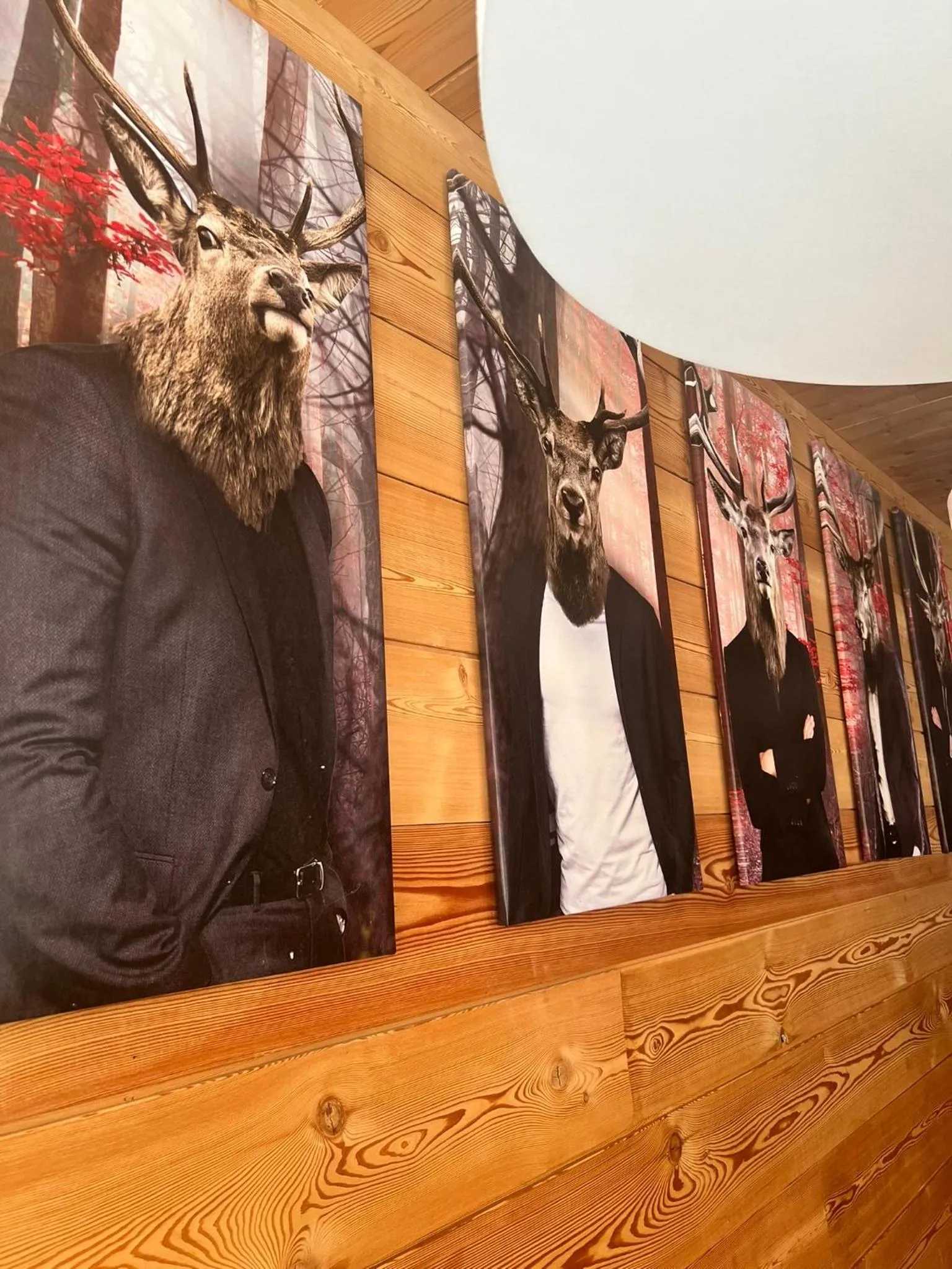 Restaurant/places to eat in Hôtel l'Équipe