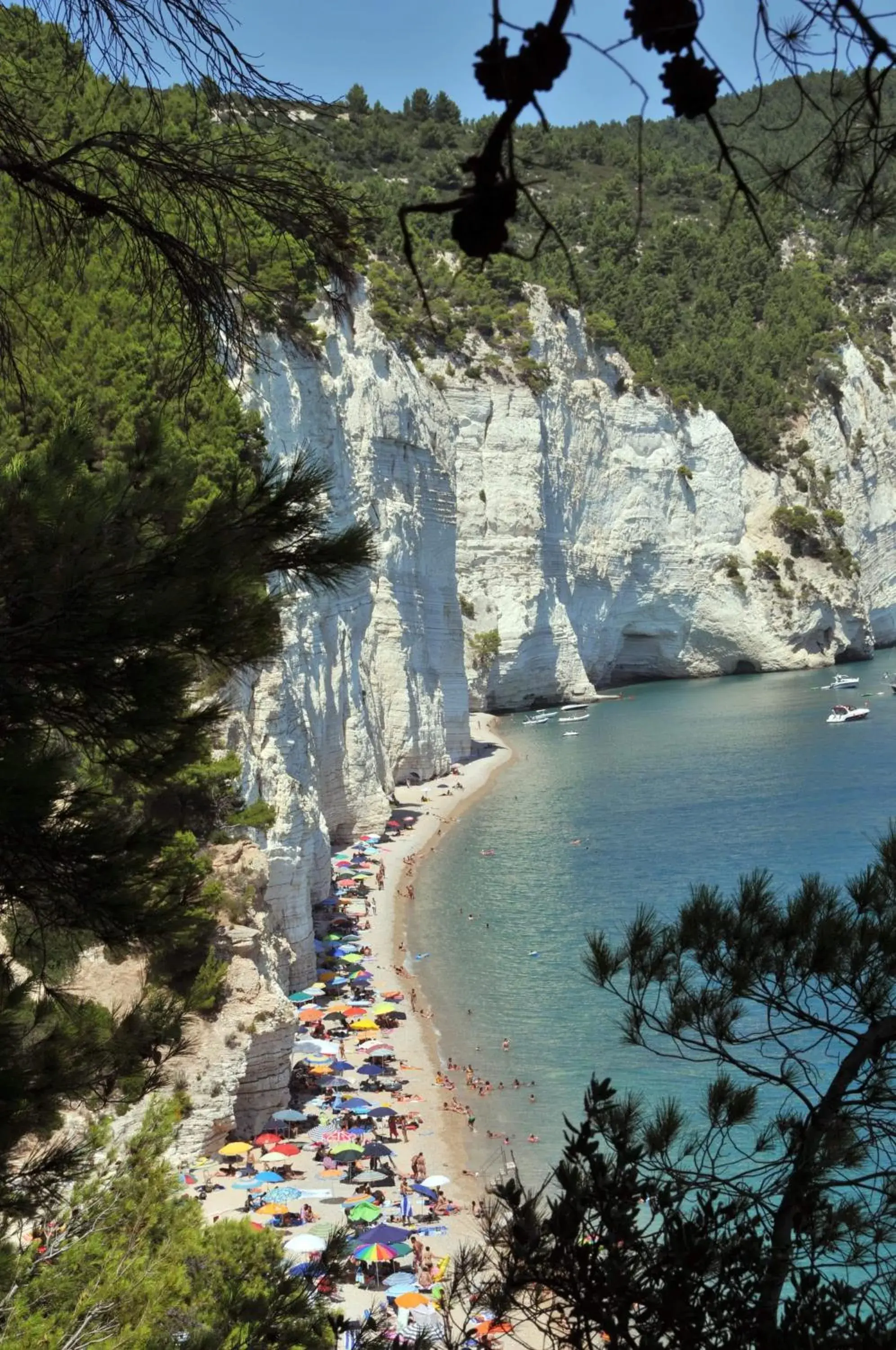 Camping Apartment Vignanotica Camping Apartment Vignanotica