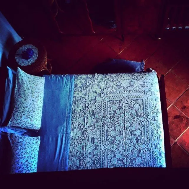 B&B La Casa tra gli Ulivi