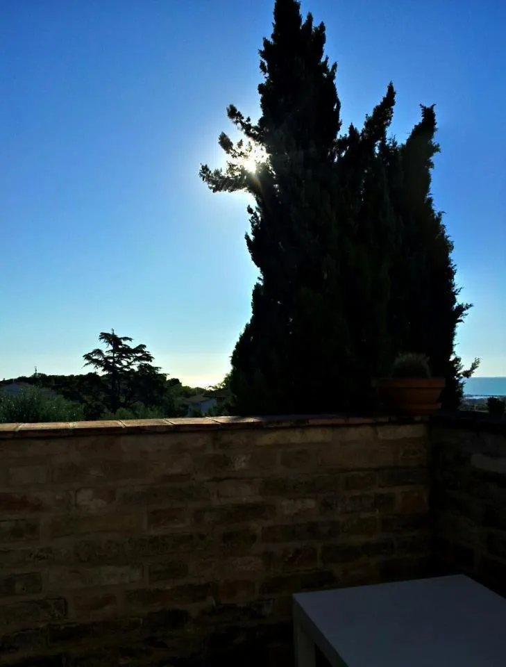 Sunrise in B&B La Casa tra gli Ulivi