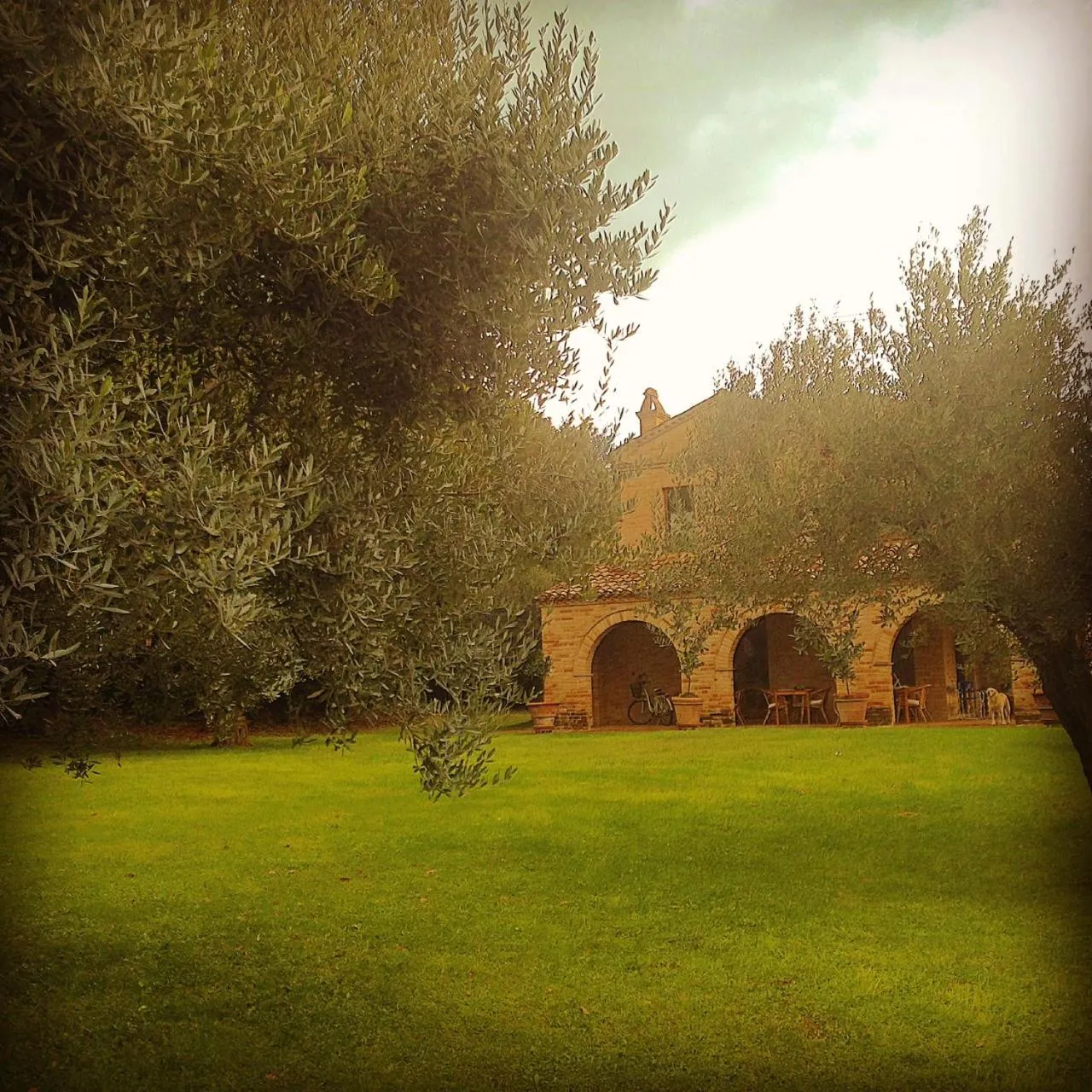 Property building in B&B La Casa tra gli Ulivi